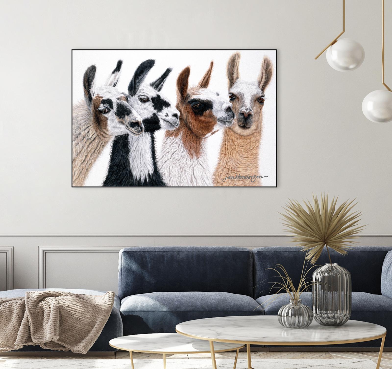 Peruvian Visitors by Jan Henderson on GIANT ART - multicolor animals; photography