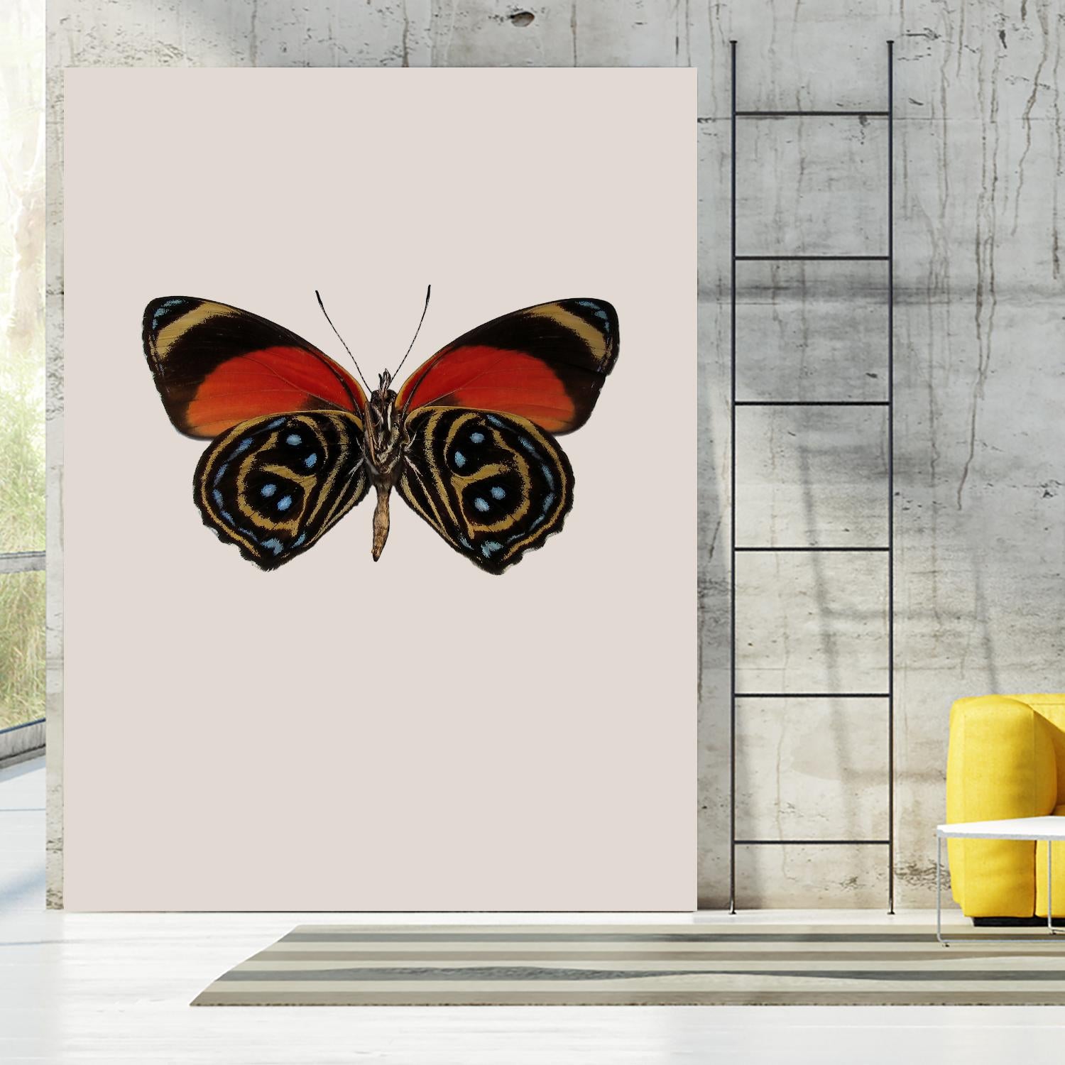 Agrias amydon by Incado on GIANT ART - multicolor animals; floral/still life