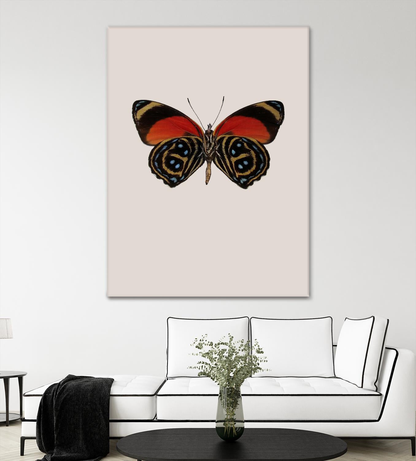 Agrias amydon by Incado on GIANT ART - multicolor animals; floral/still life