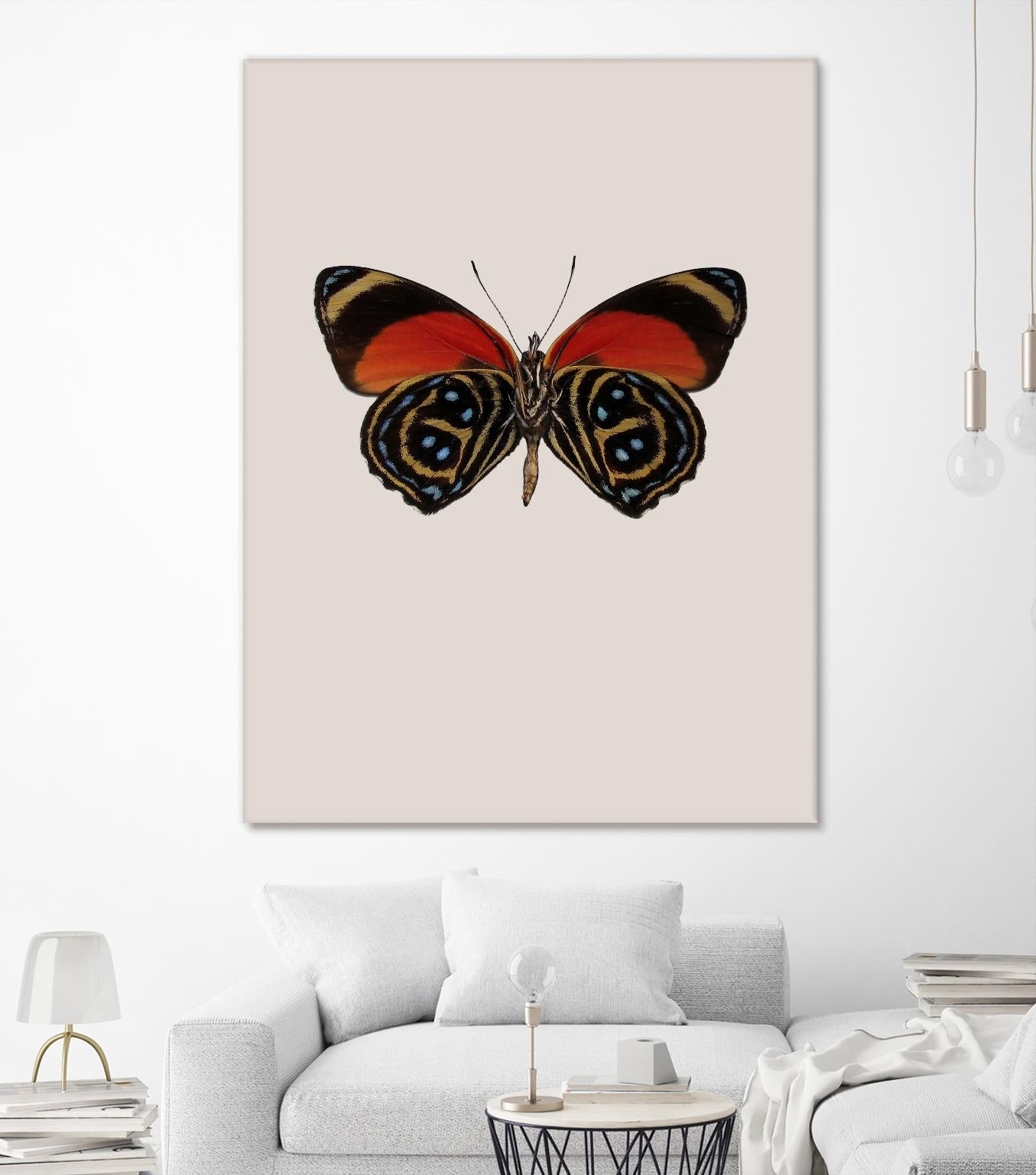 Agrias amydon by Incado on GIANT ART - multicolor animals; floral/still life