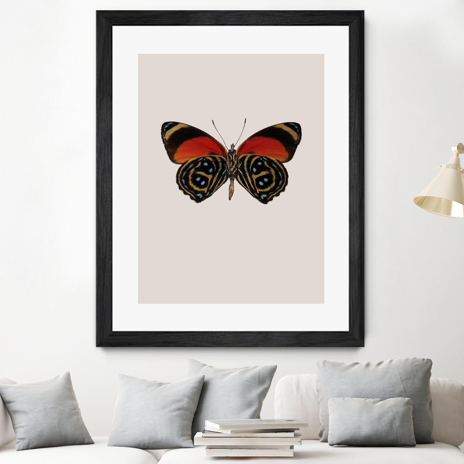 Agrias amydon by Incado on GIANT ART - multicolor animals; floral/still life