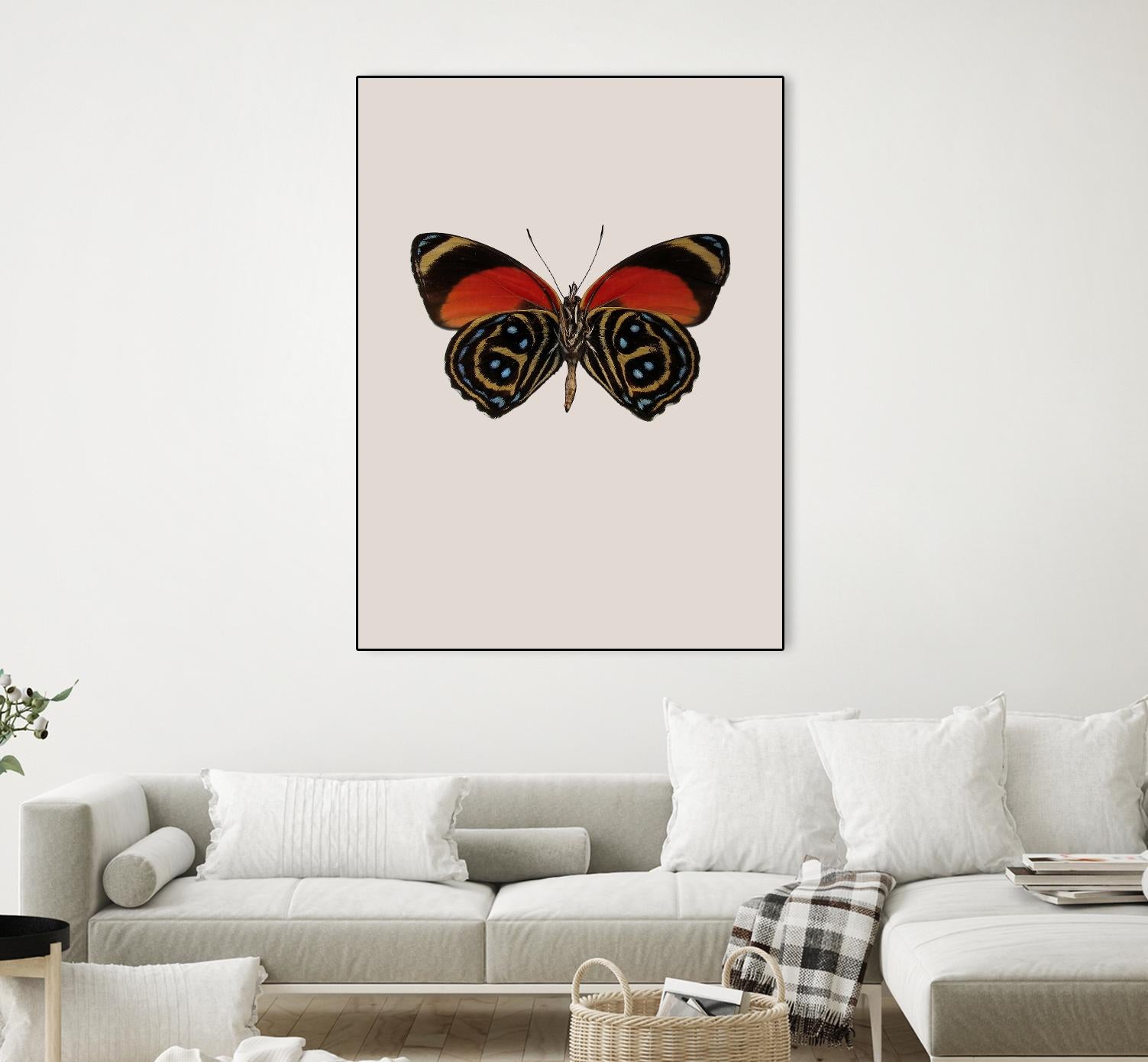 Agrias amydon by Incado on GIANT ART - multicolor animals; floral/still life