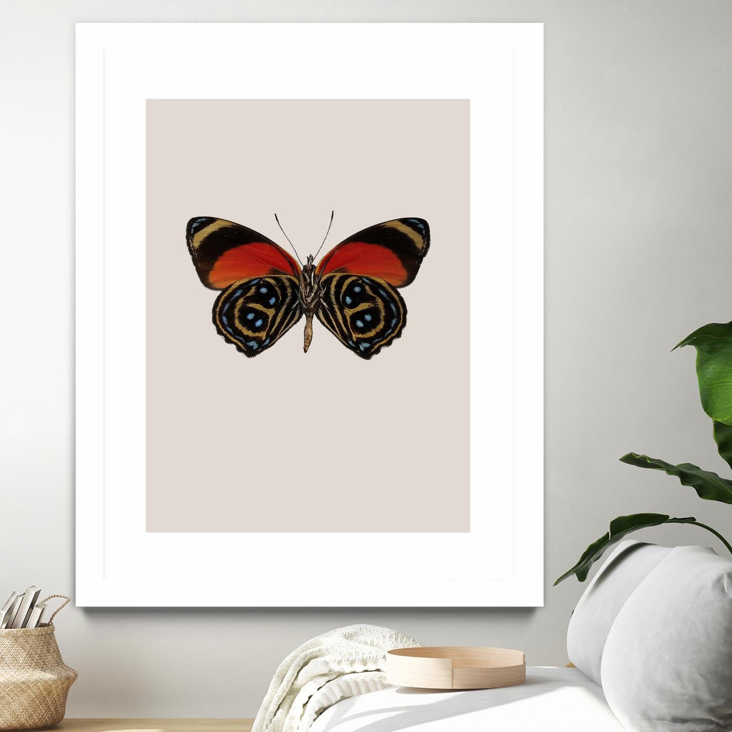 Agrias amydon by Incado on GIANT ART - multicolor animals; floral/still life