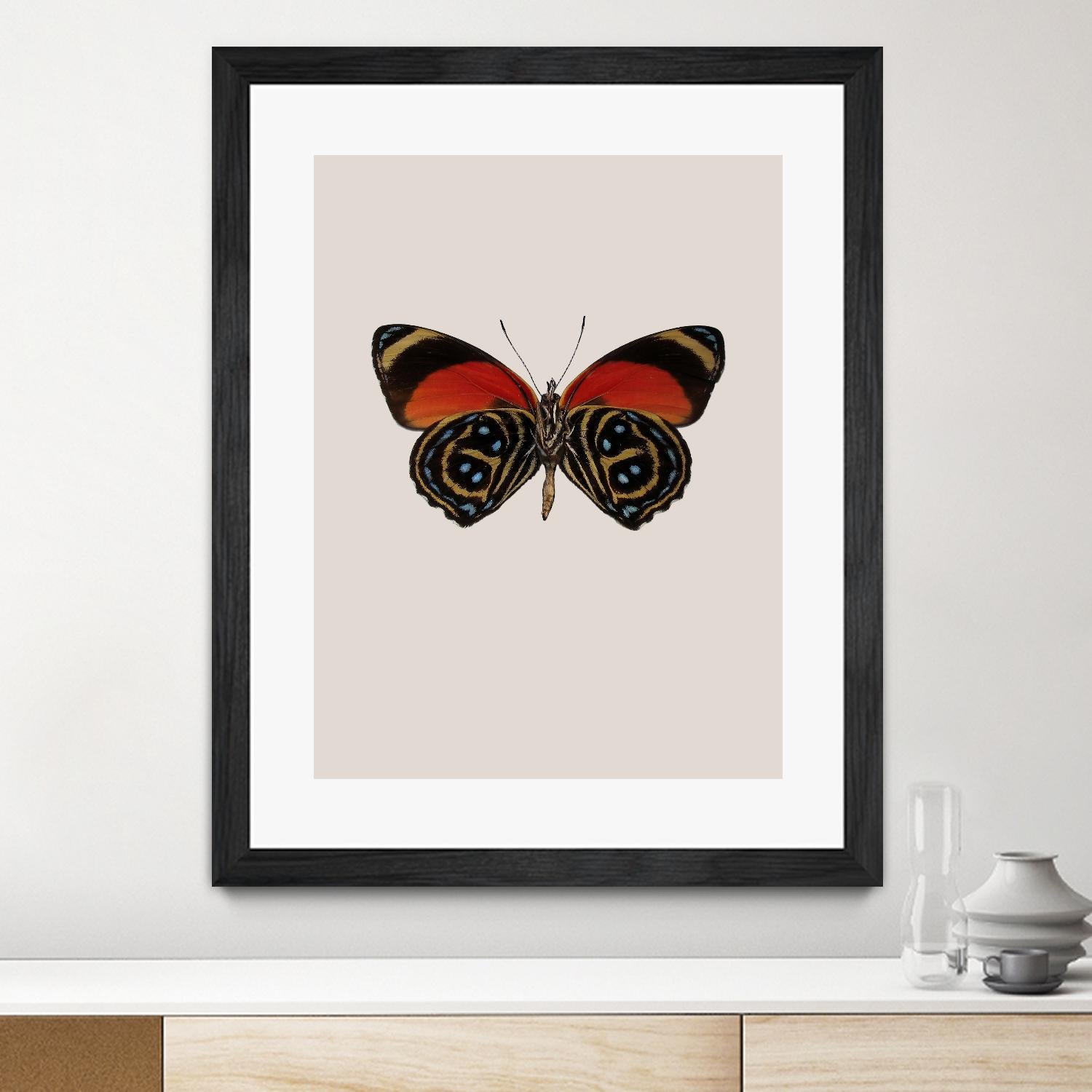 Agrias amydon by Incado on GIANT ART - multicolor animals; floral/still life