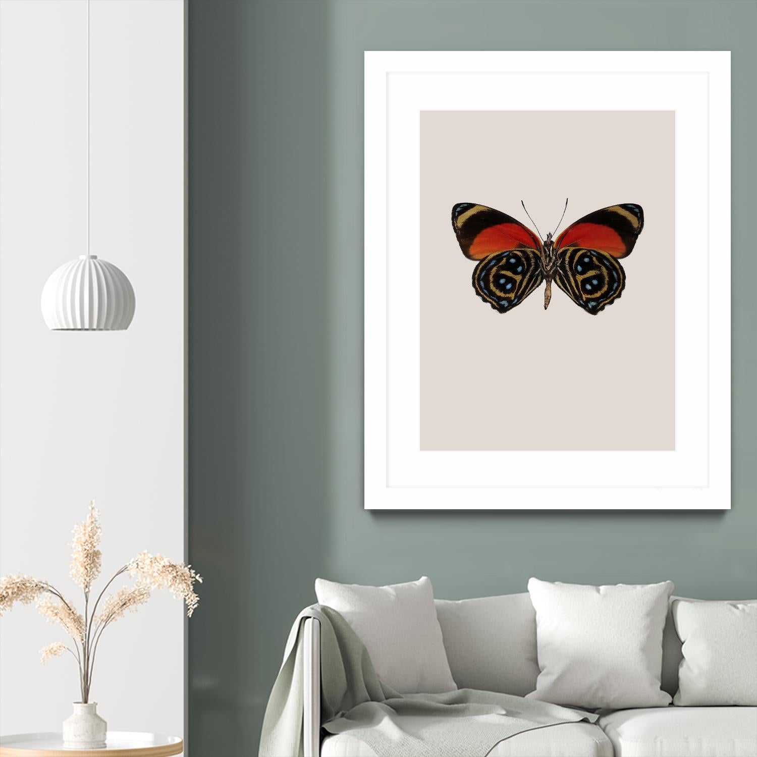 Agrias amydon by Incado on GIANT ART - multicolor animals; floral/still life