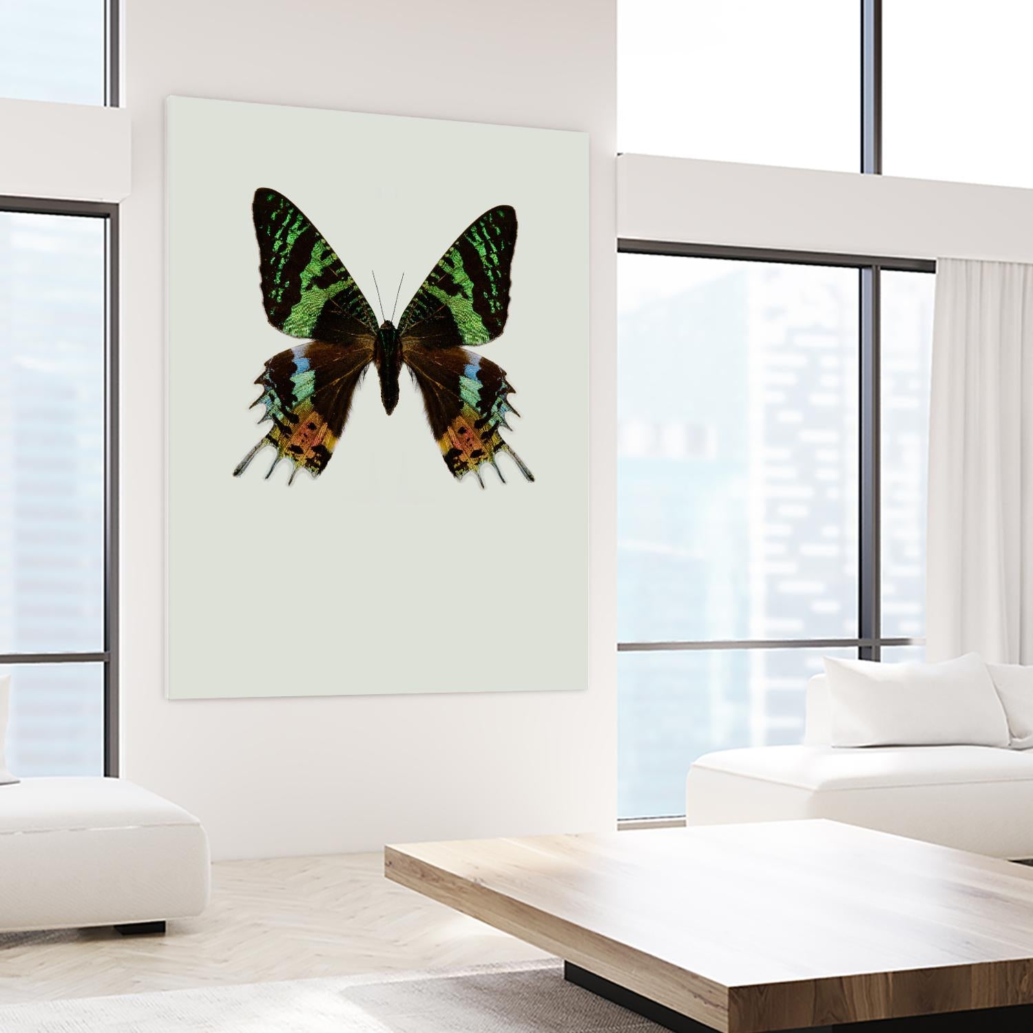 Chrysiridia rhipheus by Incado on GIANT ART - multicolor animals; floral/still life