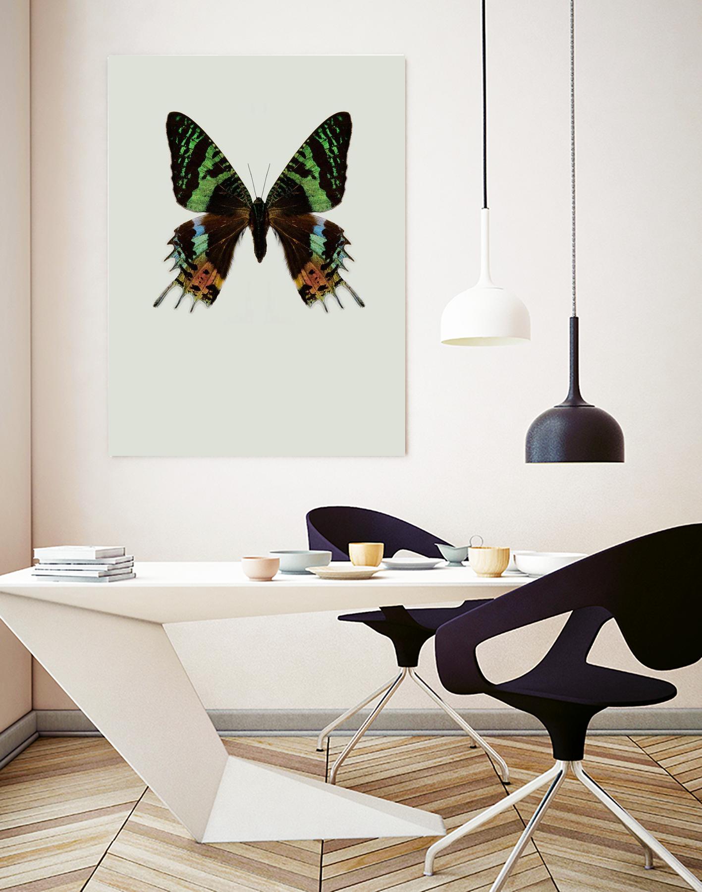 Chrysiridia rhipheus by Incado on GIANT ART - multicolor animals; floral/still life