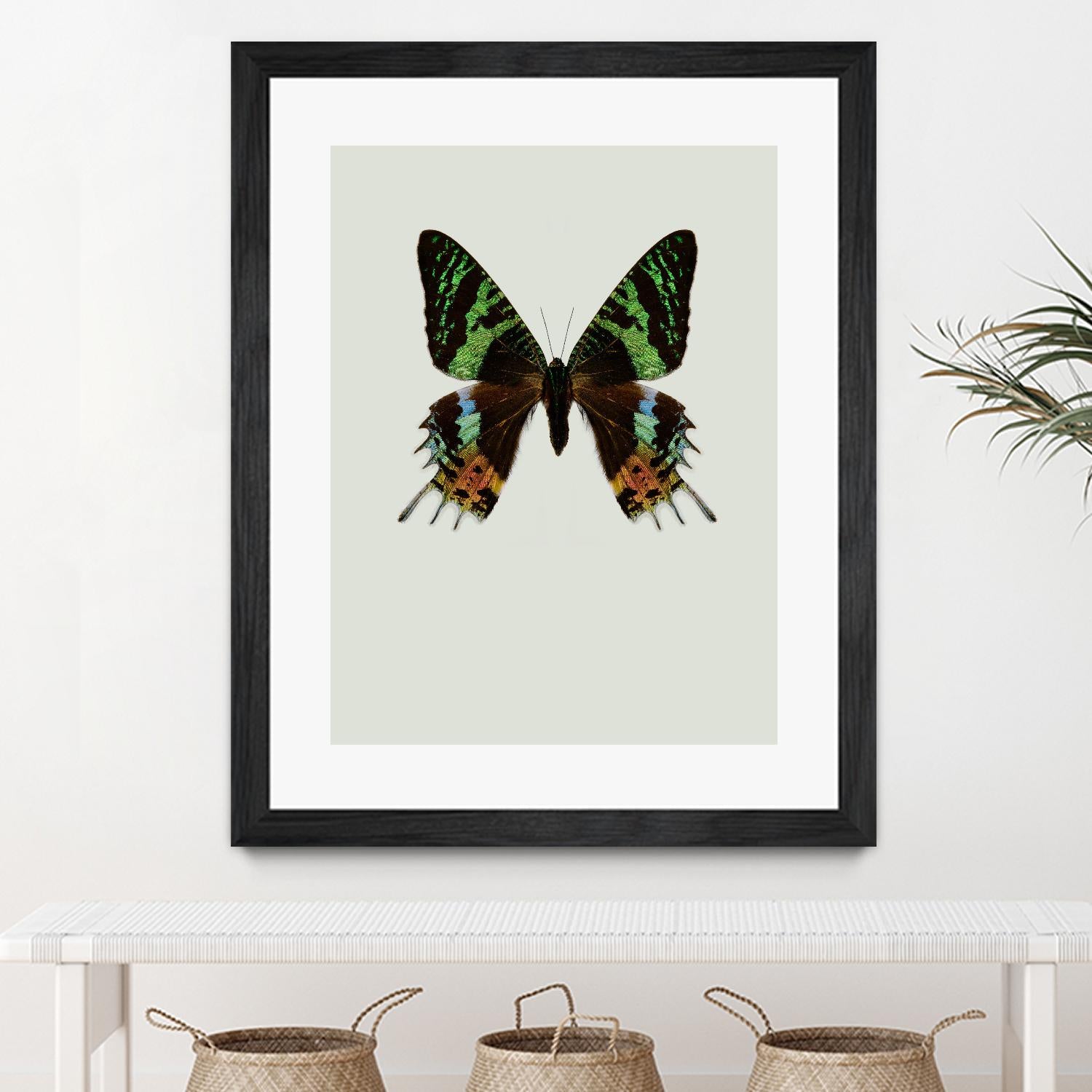 Chrysiridia rhipheus by Incado on GIANT ART - multicolor animals; floral/still life