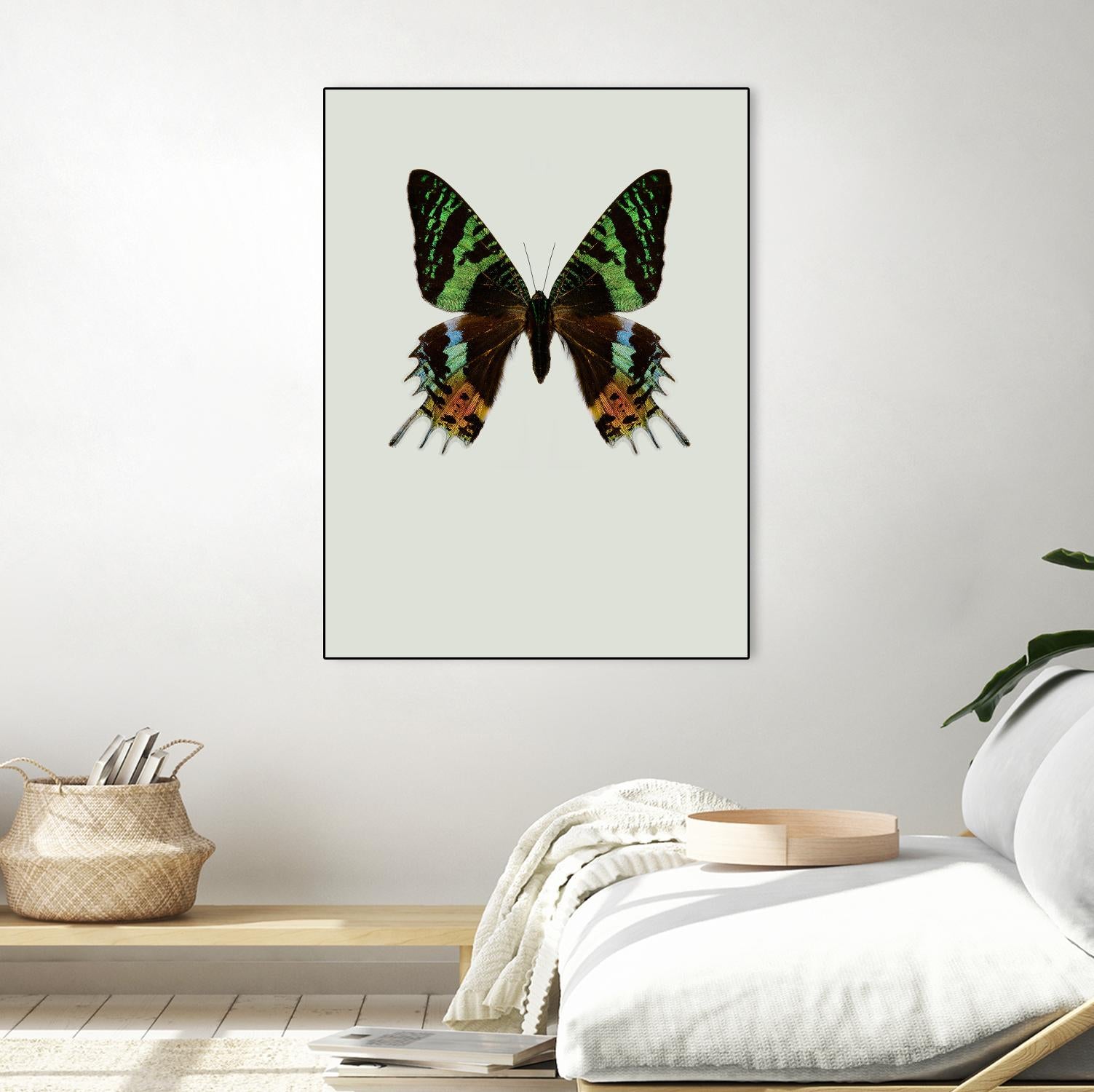 Chrysiridia rhipheus by Incado on GIANT ART - multicolor animals; floral/still life