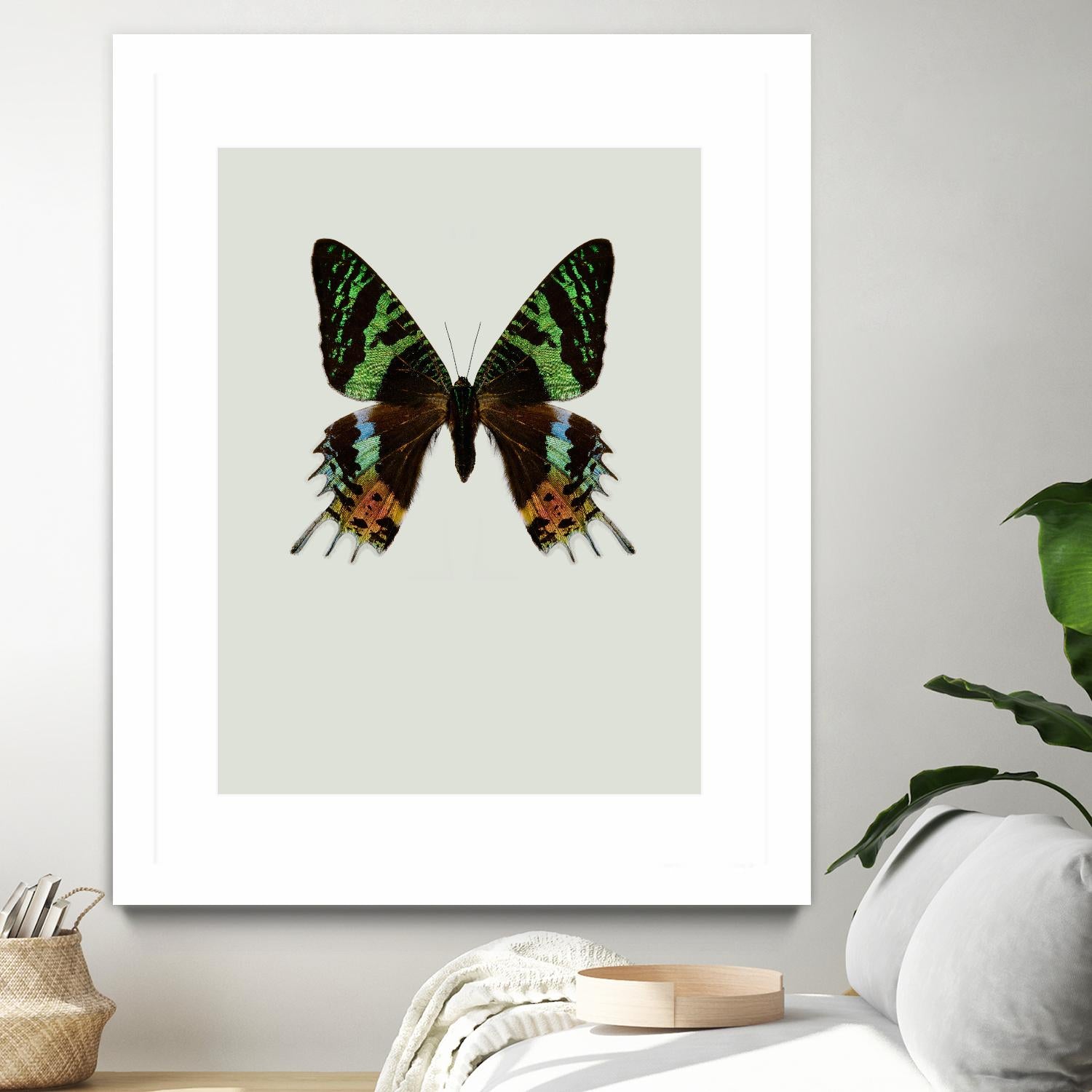 Chrysiridia rhipheus by Incado on GIANT ART - multicolor animals; floral/still life