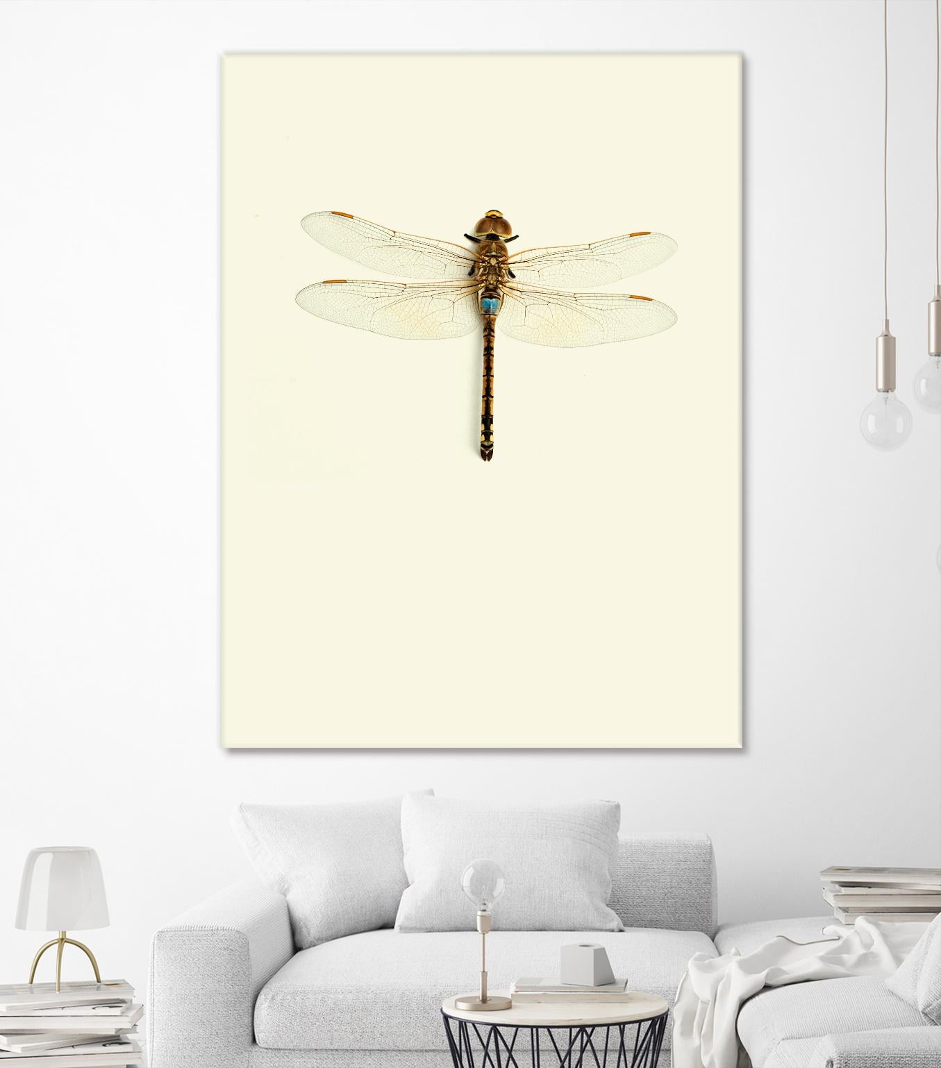 Dragonfly I by Incado on GIANT ART - multicolor animals; floral/still life