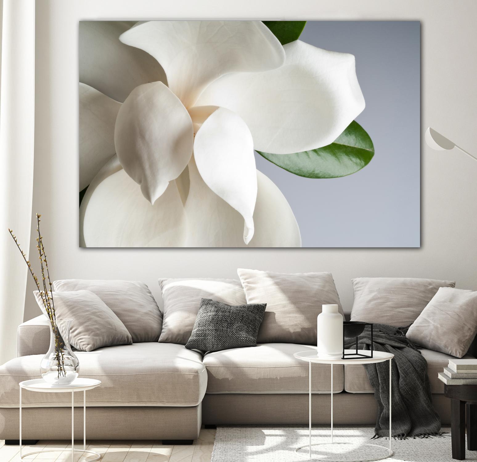 Magnolia by PhotoINC Studio on GIANT ART - multicolor photography; floral/still life