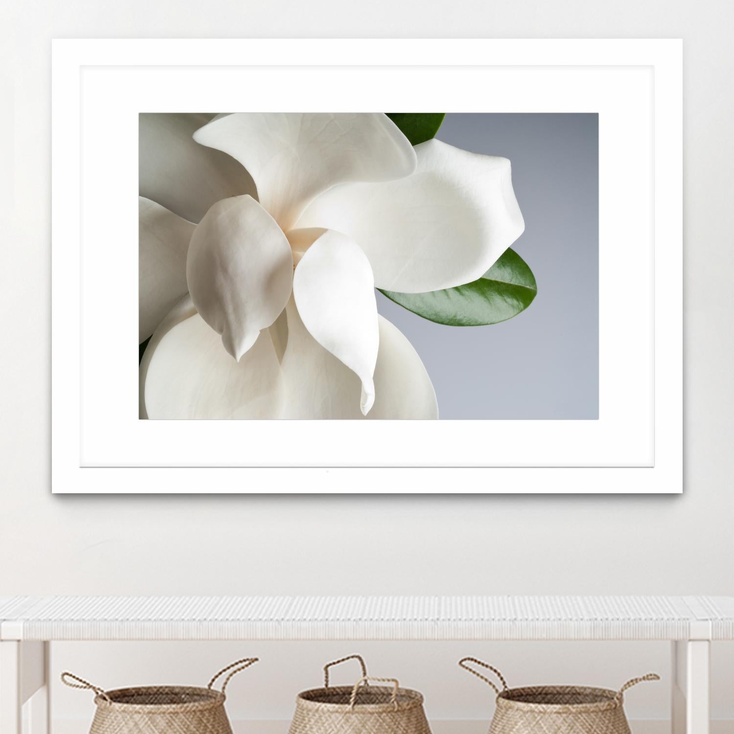 Magnolia by PhotoINC Studio on GIANT ART - multicolor photography; floral/still life