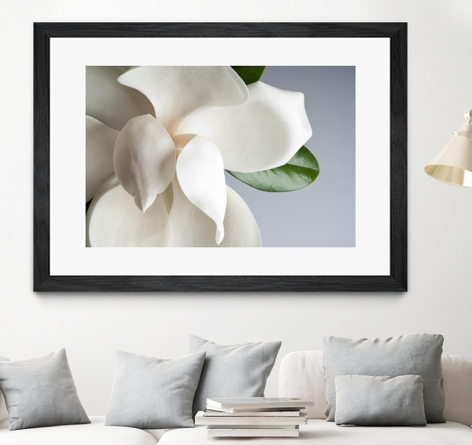 Magnolia by PhotoINC Studio on GIANT ART - multicolor photography; floral/still life