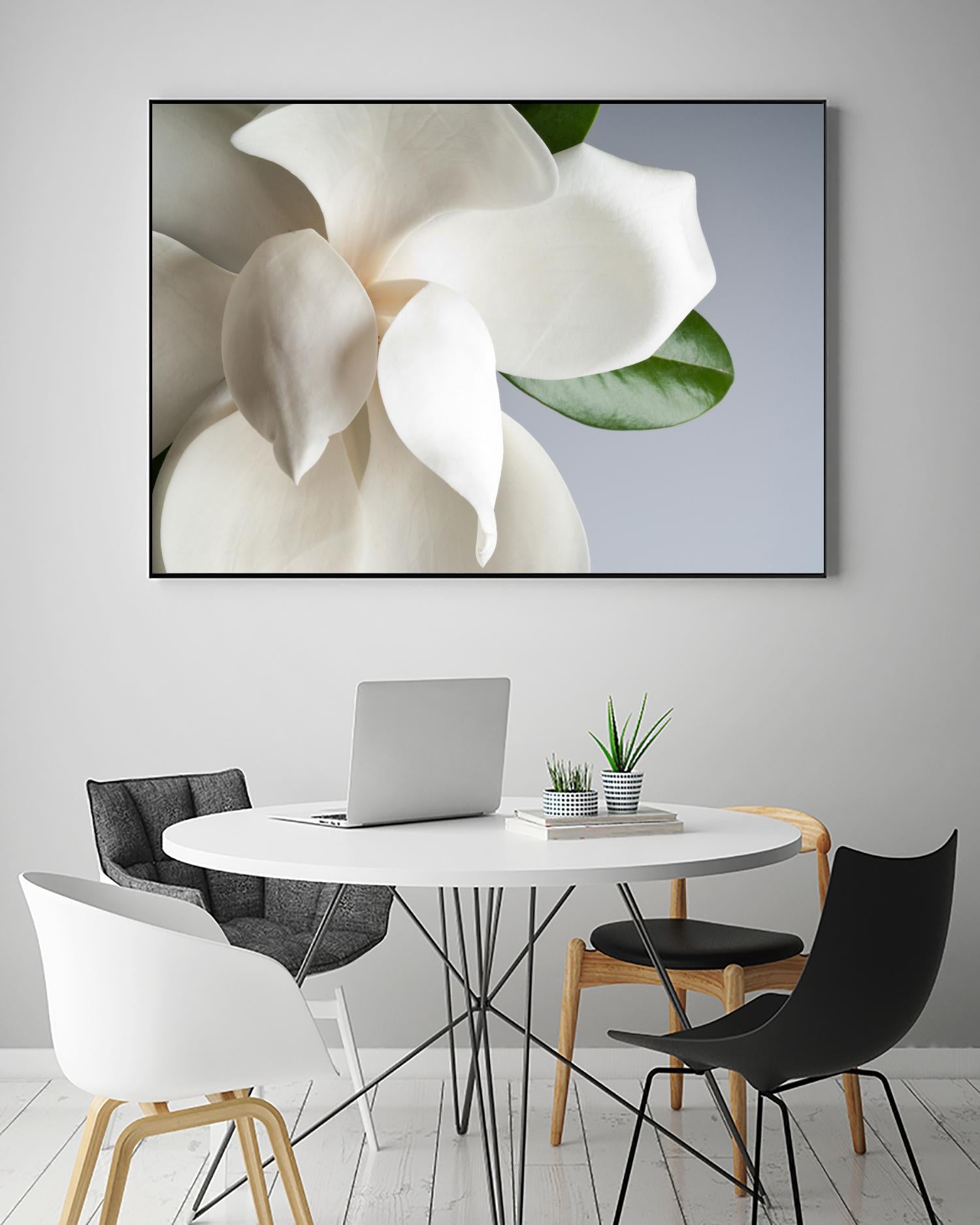 Magnolia by PhotoINC Studio on GIANT ART - multicolor photography; floral/still life