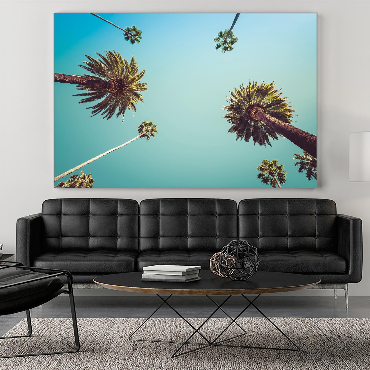 Palms by PhotoINC Studio on GIANT ART - multicolor photography; landscapes