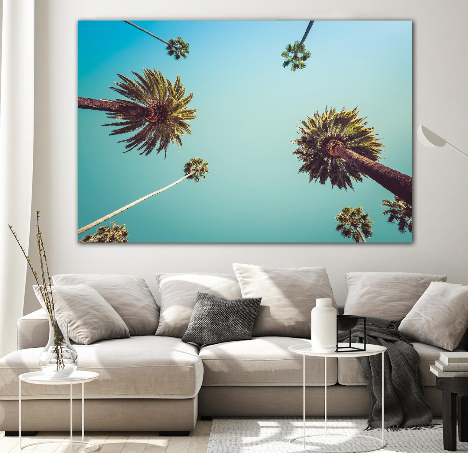 Palms by PhotoINC Studio on GIANT ART - multicolor photography; landscapes