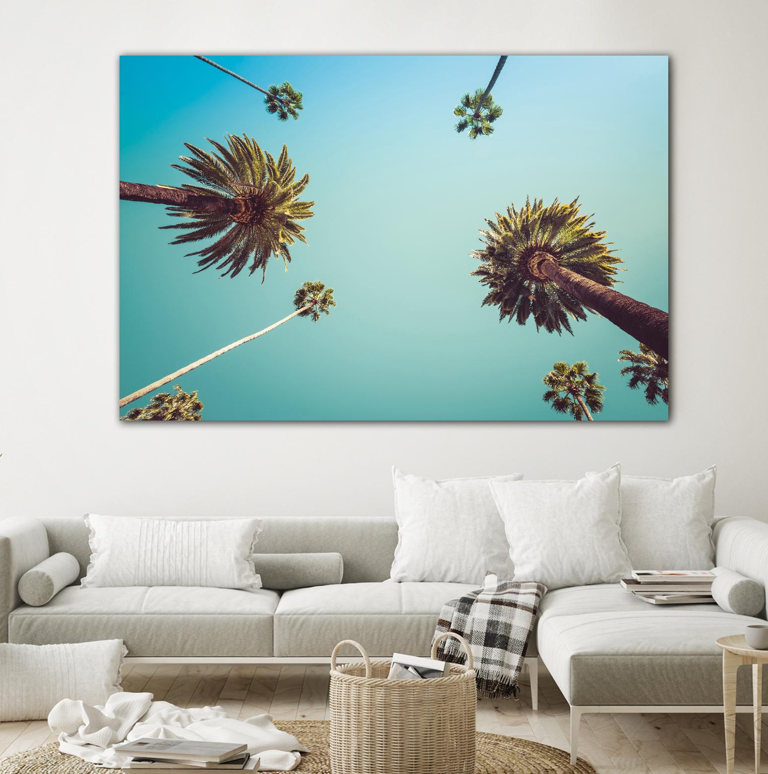 Palms by PhotoINC Studio on GIANT ART - multicolor photography; landscapes