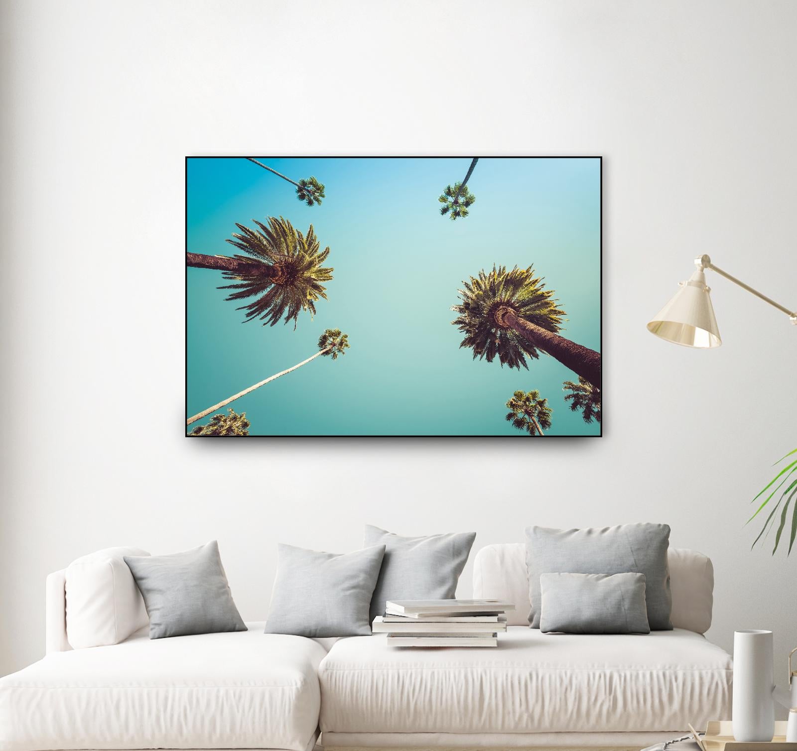 Palms by PhotoINC Studio on GIANT ART - multicolor photography; landscapes