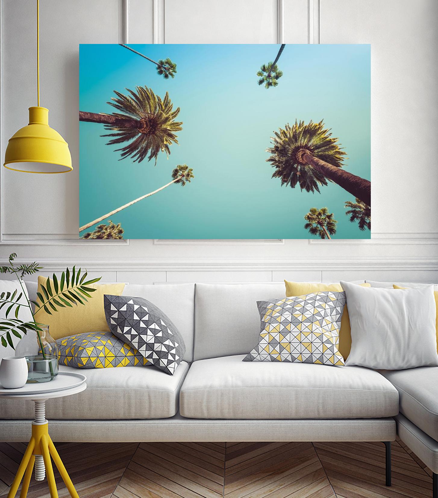 Palms by PhotoINC Studio on GIANT ART - multicolor photography; landscapes