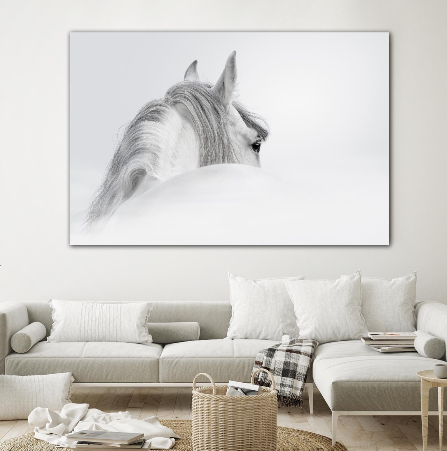 White Horse by PhotoINC Studio on GIANT ART - multicolor animals