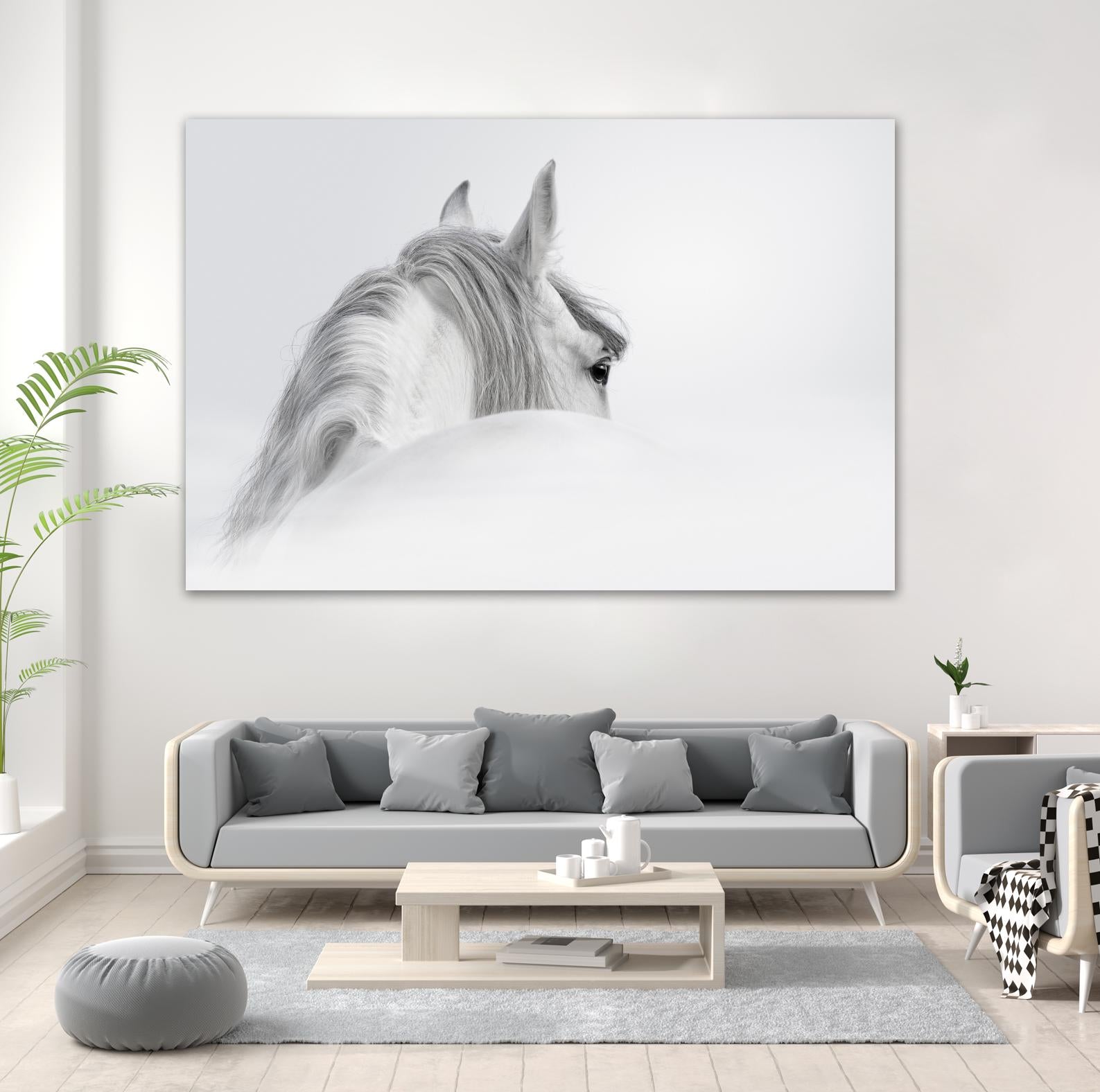 White Horse by PhotoINC Studio on GIANT ART - multicolor animals