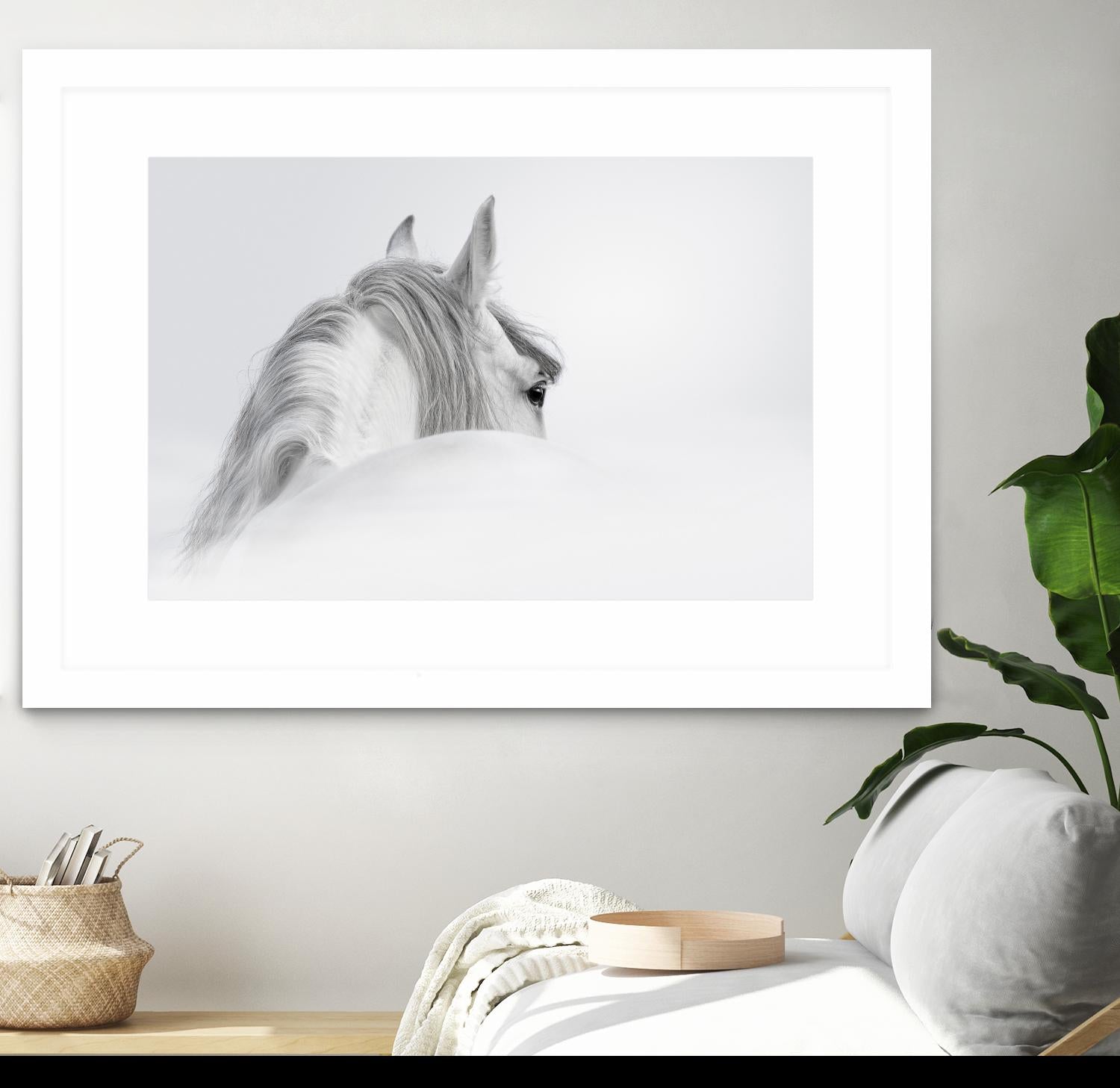 White Horse by PhotoINC Studio on GIANT ART - multicolor animals