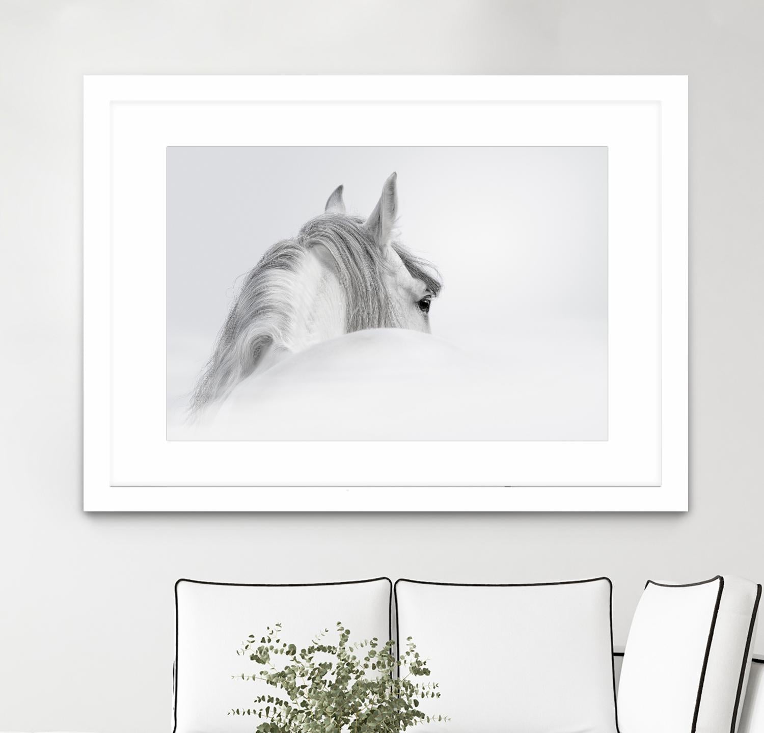 White Horse by PhotoINC Studio on GIANT ART - multicolor animals