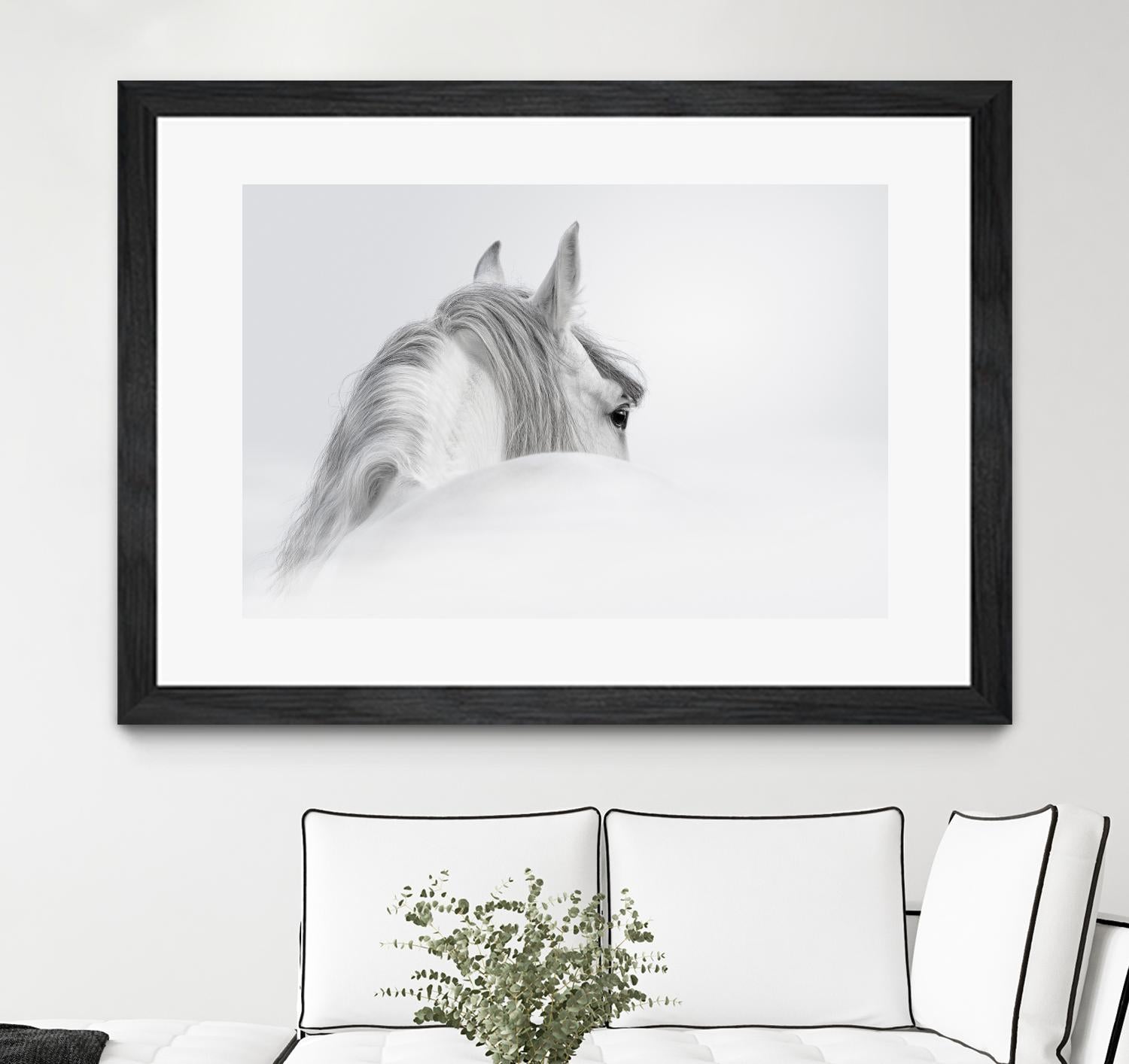 White Horse by PhotoINC Studio on GIANT ART - multicolor animals