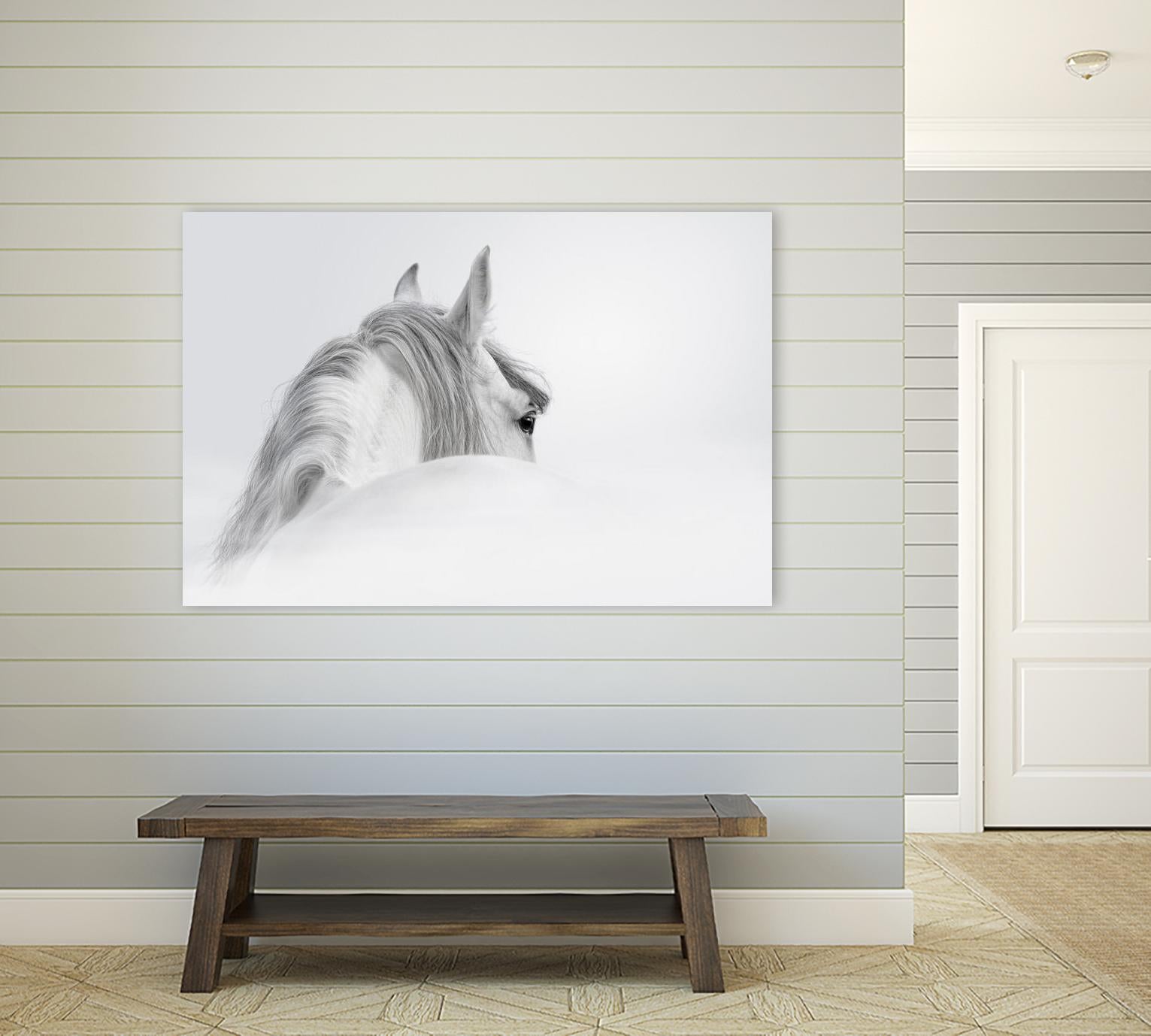 White Horse by PhotoINC Studio on GIANT ART - multicolor animals