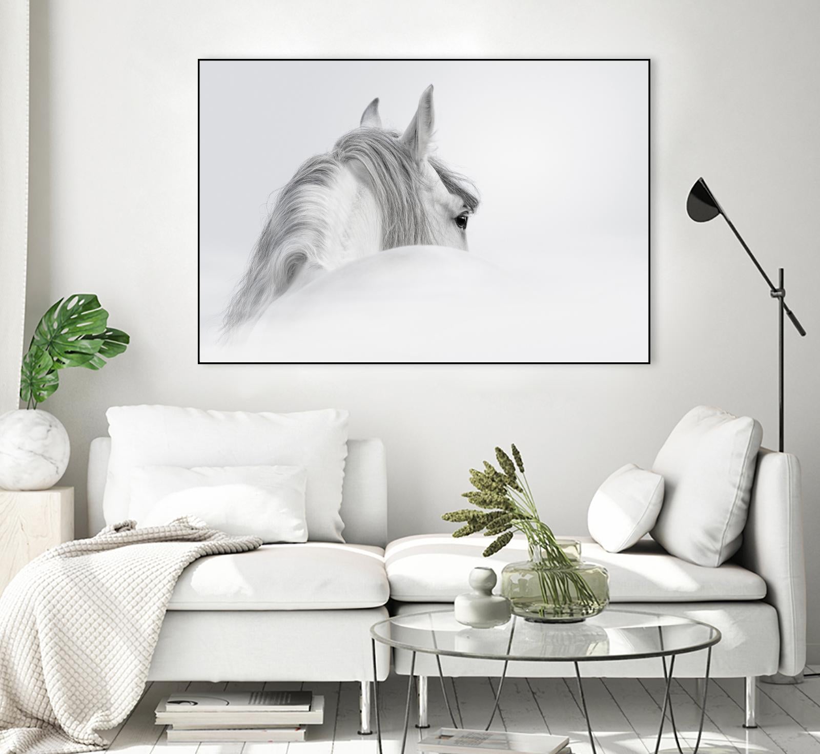 White Horse by PhotoINC Studio on GIANT ART - multicolor animals