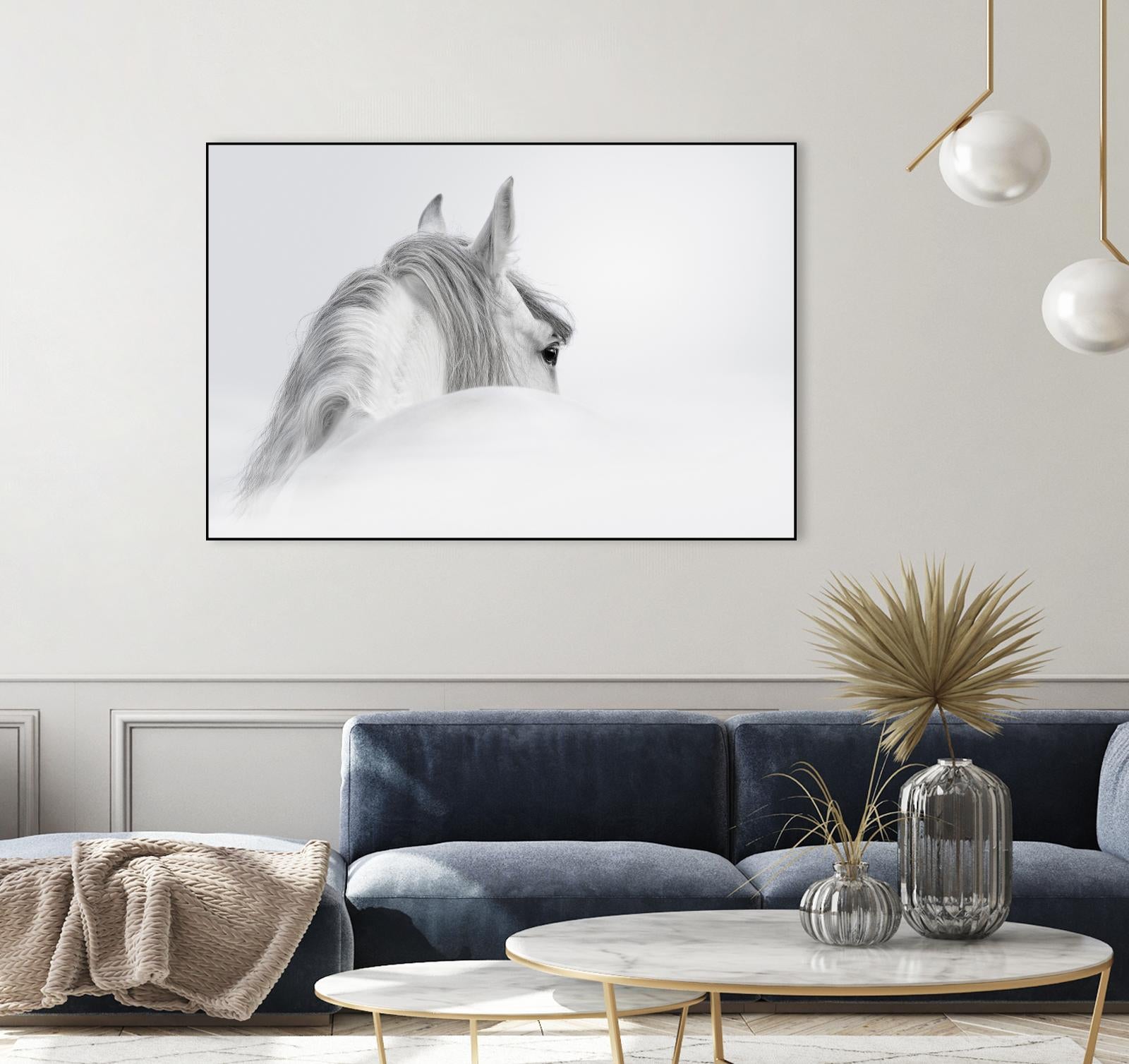 White Horse by PhotoINC Studio on GIANT ART - multicolor animals
