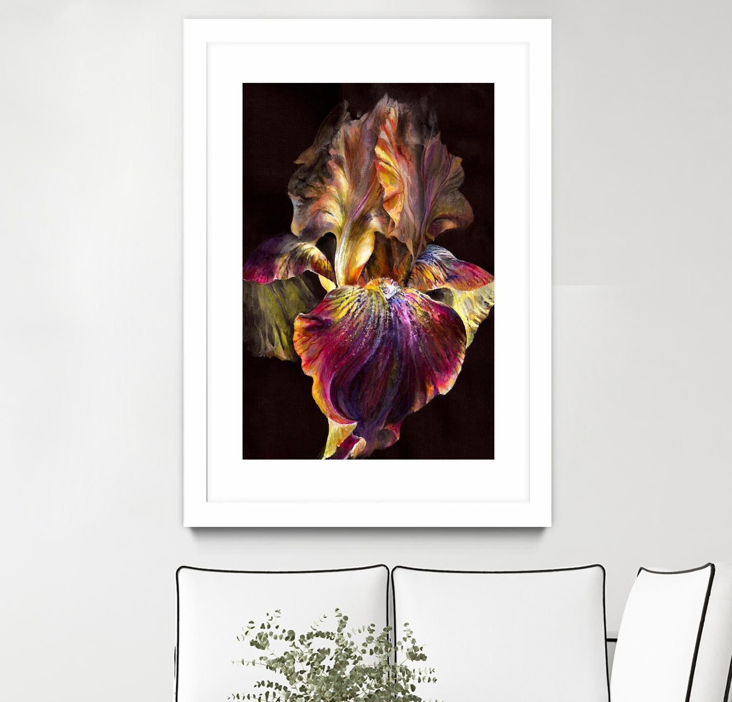 Iris by PhotoINC Studio on GIANT ART - multicolor photography; floral/still life