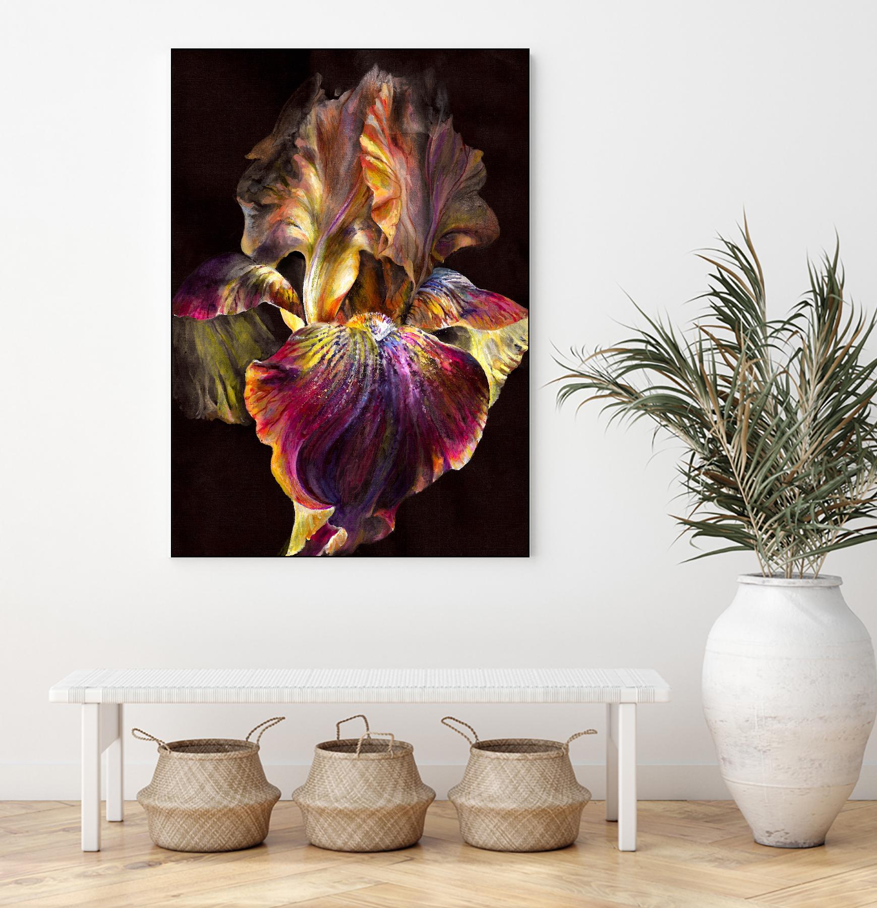 Iris by PhotoINC Studio on GIANT ART - multicolor photography; floral/still life