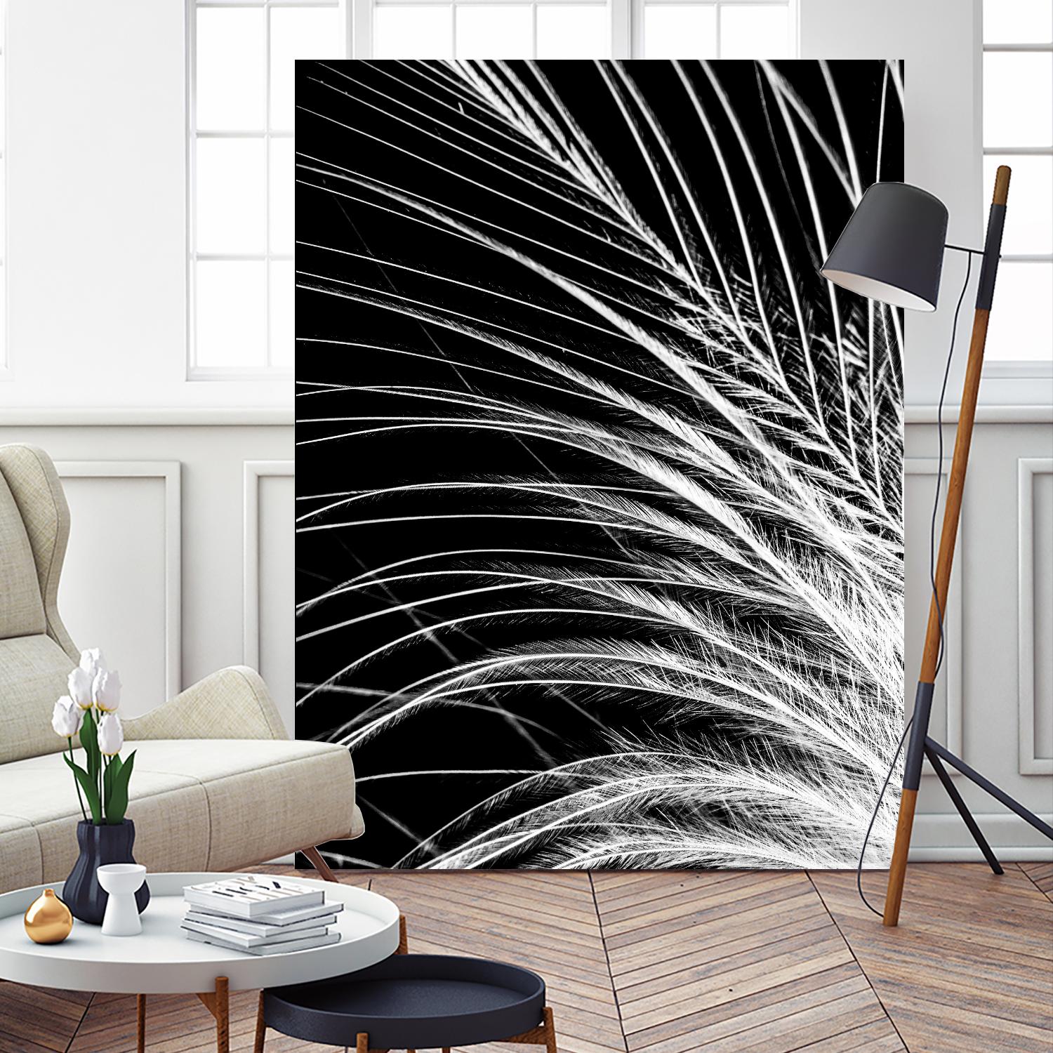 White Feather by Incado on GIANT ART - multicolor photography; floral/still life
