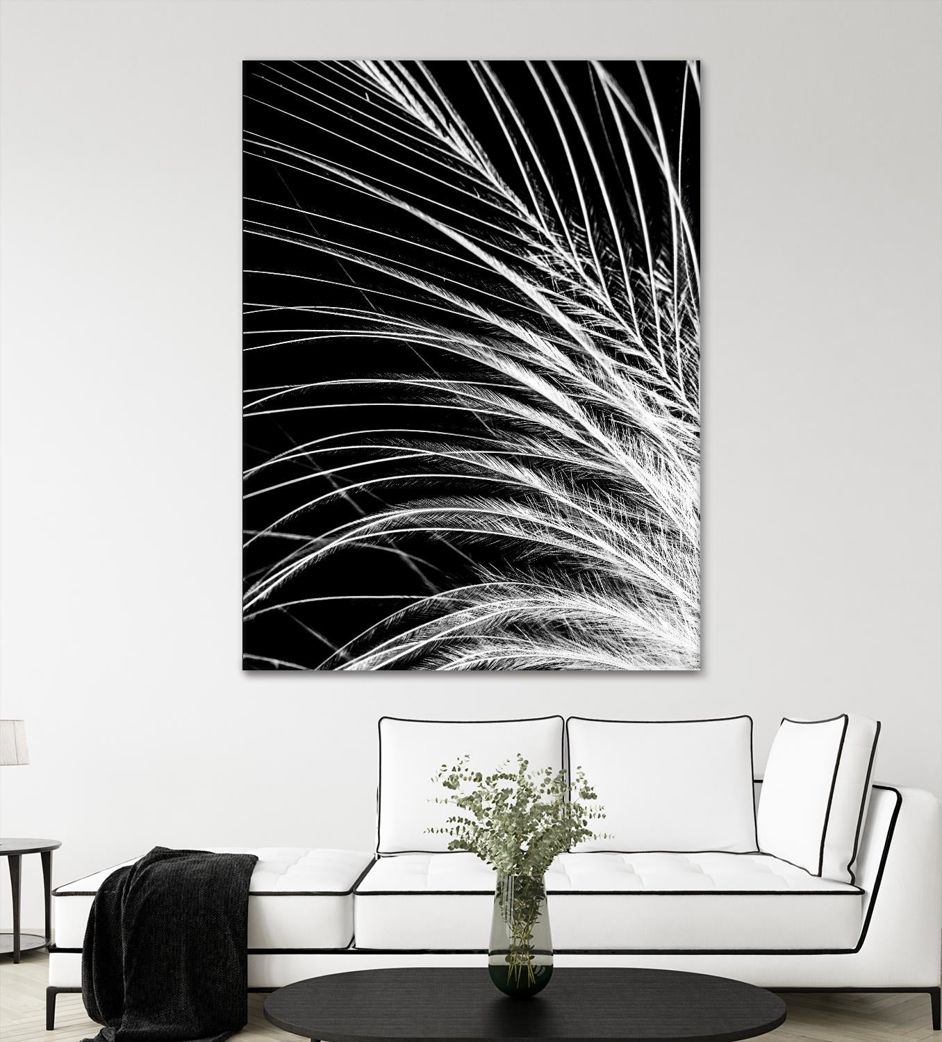 White Feather by Incado on GIANT ART - multicolor photography; floral/still life