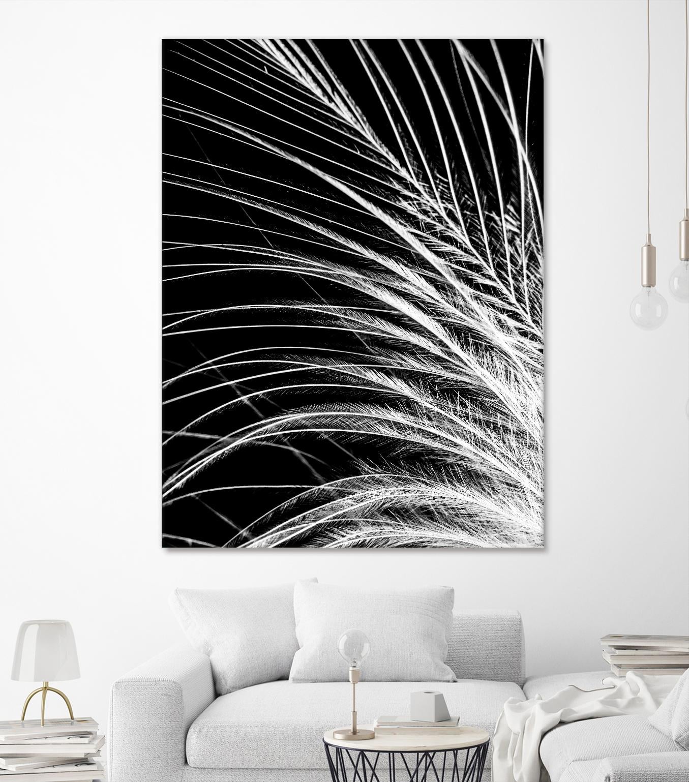 White Feather by Incado on GIANT ART - multicolor photography; floral/still life