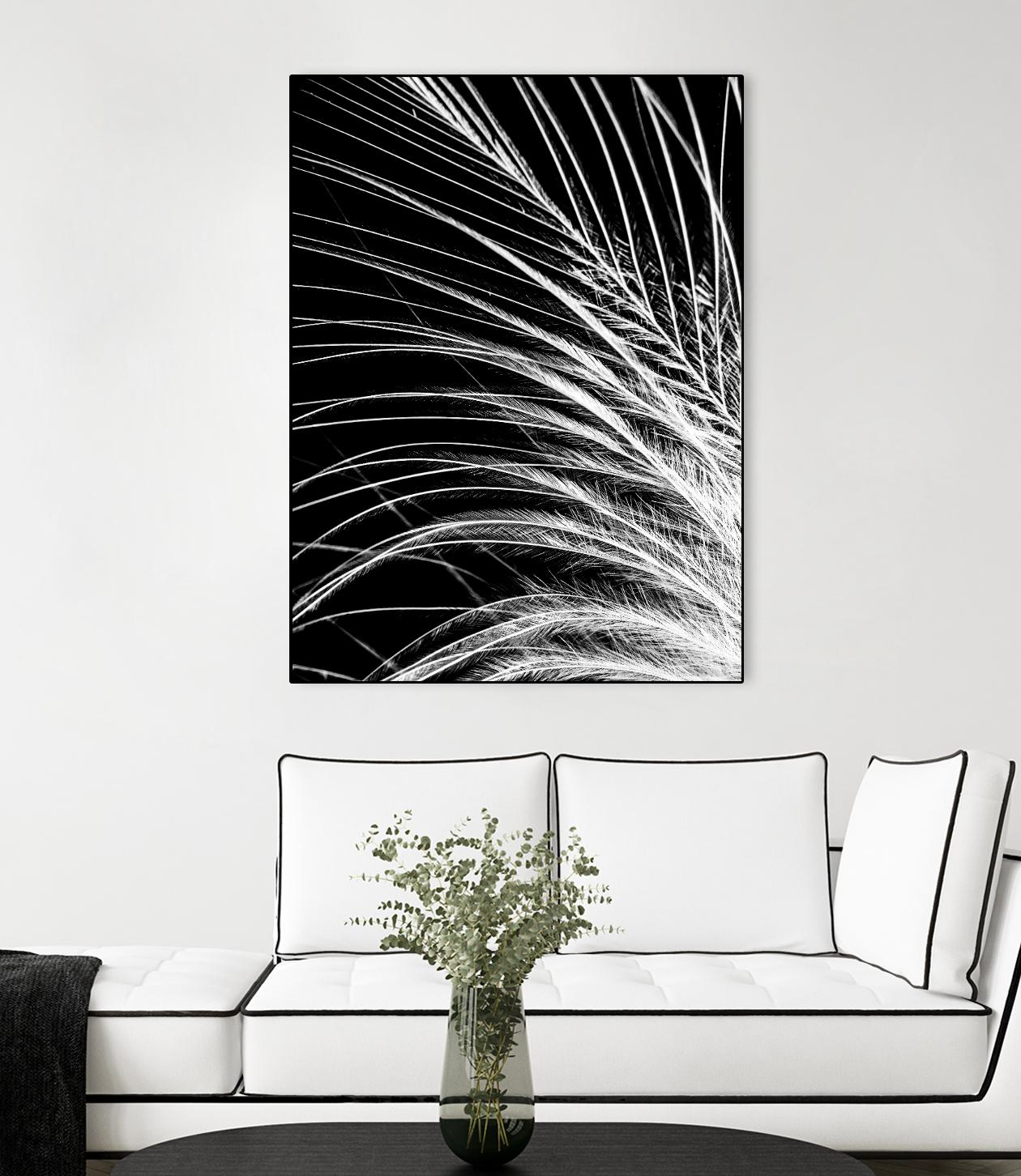 White Feather by Incado on GIANT ART - multicolor photography; floral/still life