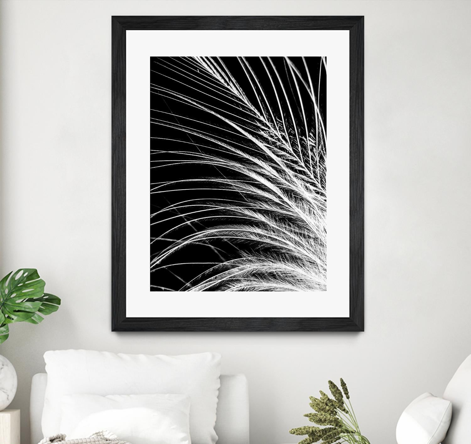 White Feather by Incado on GIANT ART - multicolor photography; floral/still life