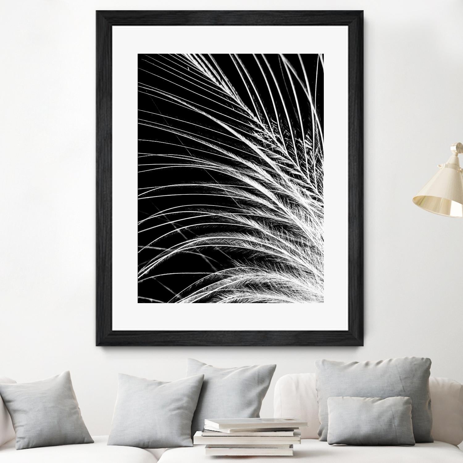 White Feather by Incado on GIANT ART - multicolor photography; floral/still life