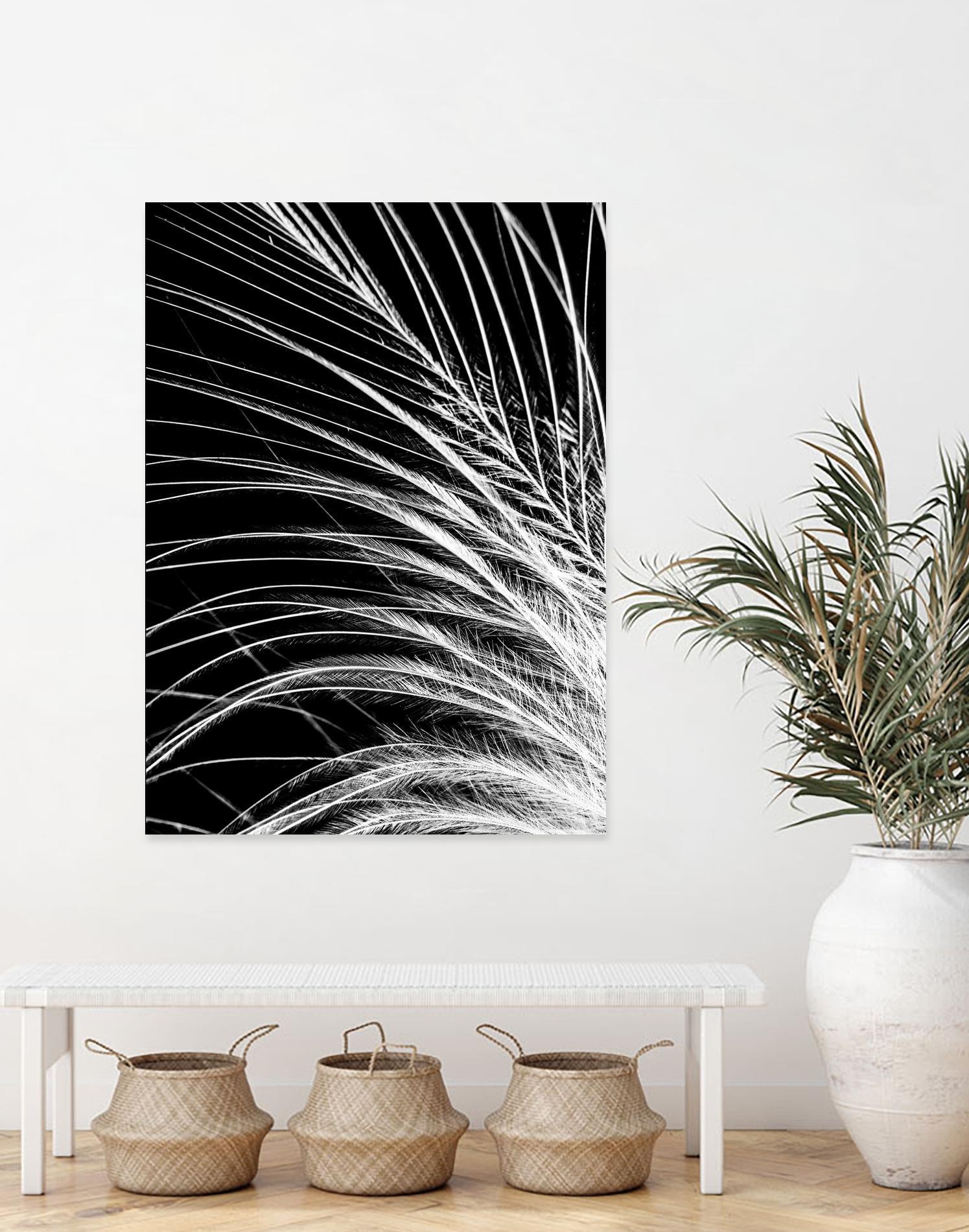 White Feather by Incado on GIANT ART - multicolor photography; floral/still life