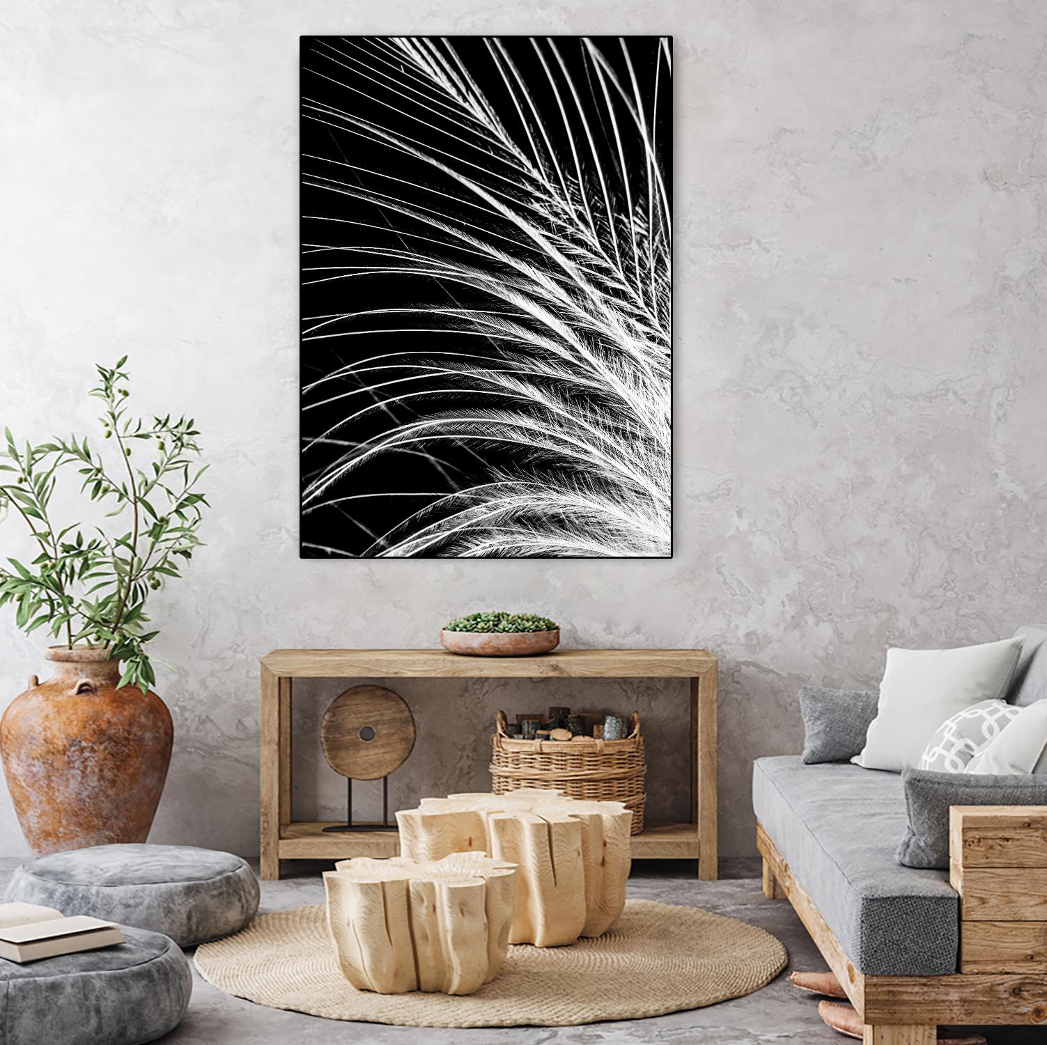 White Feather by Incado on GIANT ART - multicolor photography; floral/still life