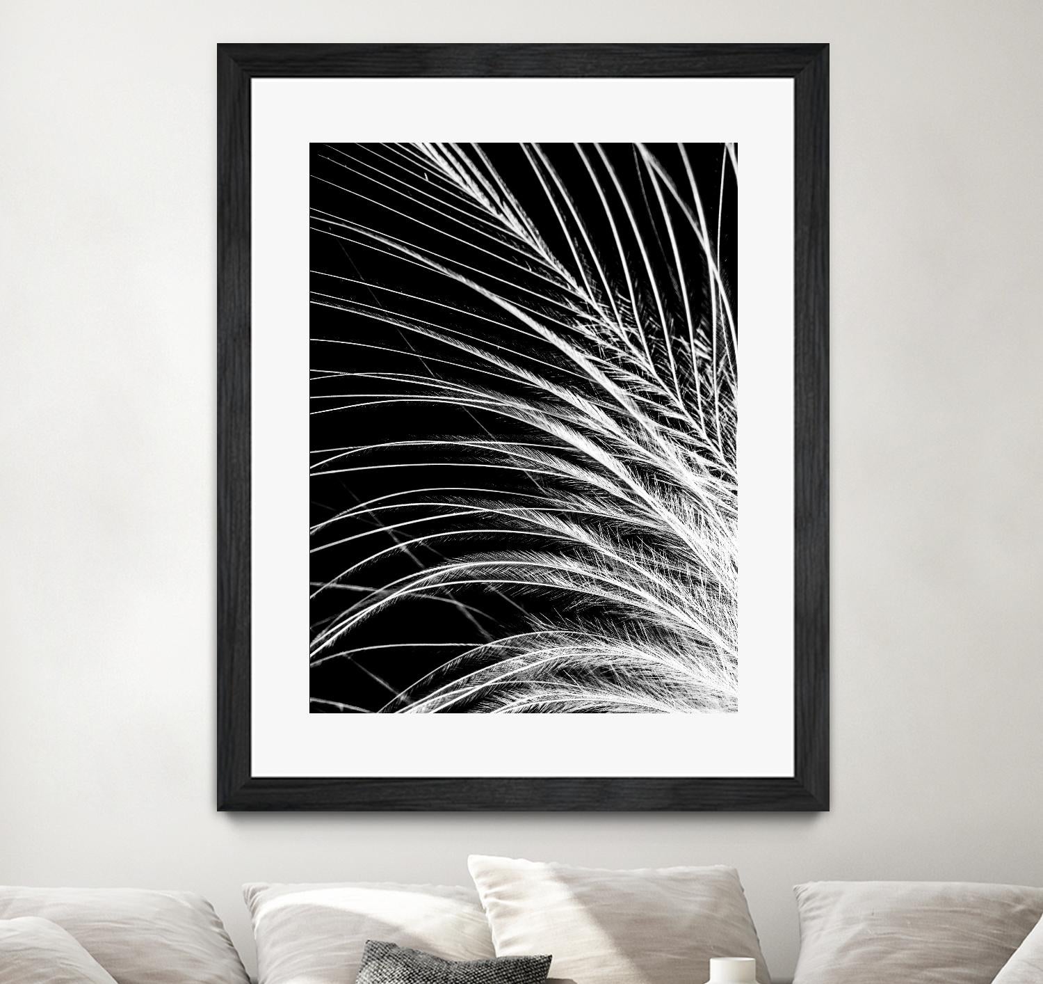 White Feather by Incado on GIANT ART - multicolor photography; floral/still life