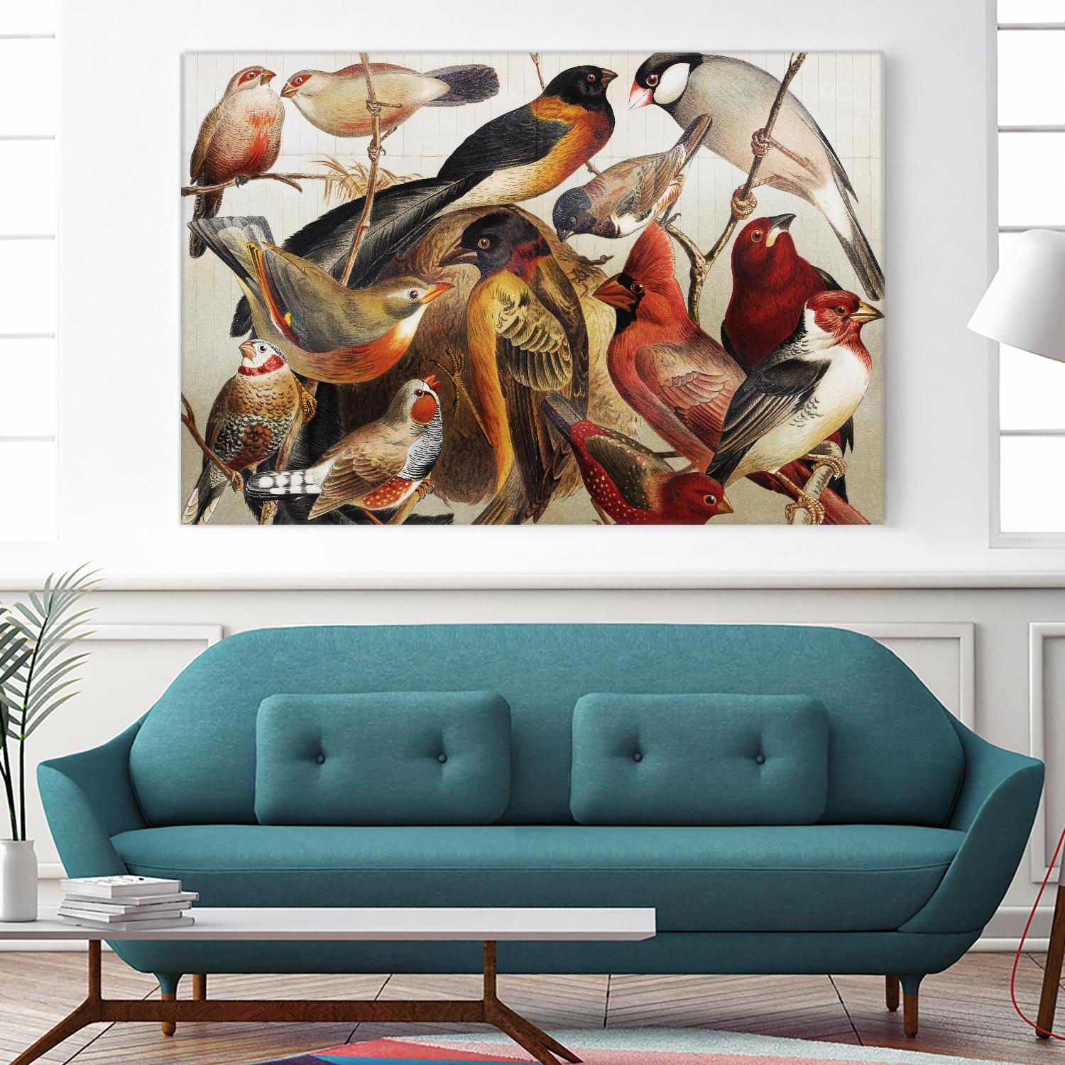 Collection II by PhotoINC Studio on GIANT ART - multicolor animals