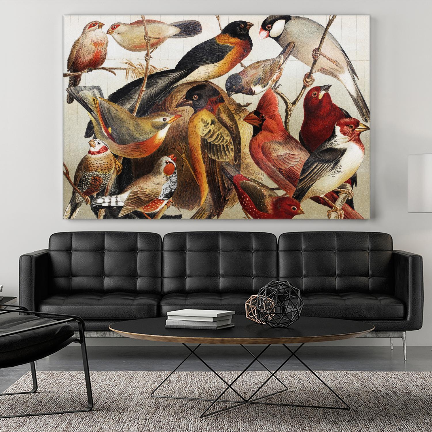 Collection II by PhotoINC Studio on GIANT ART - multicolor animals