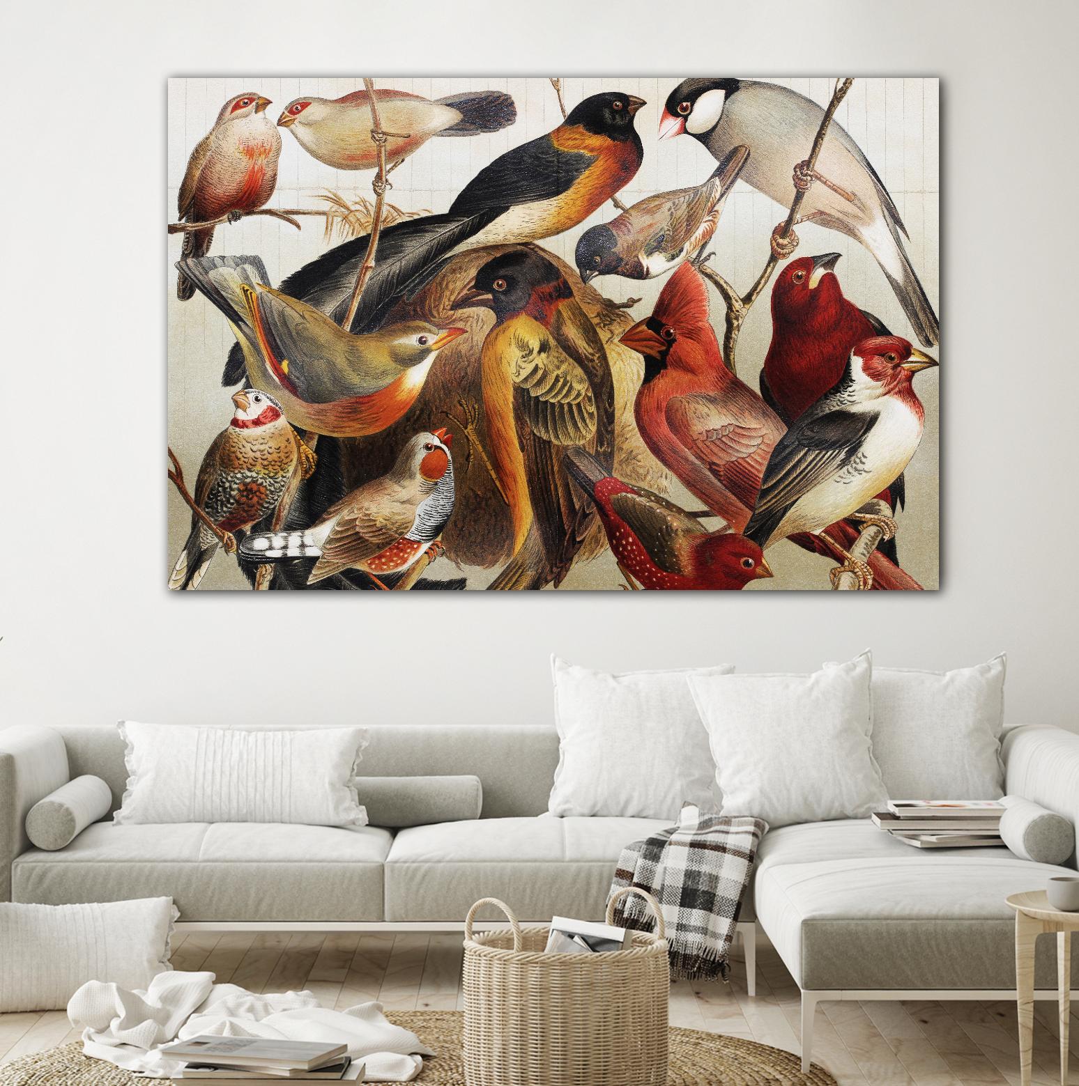 Collection II by PhotoINC Studio on GIANT ART - multicolor animals