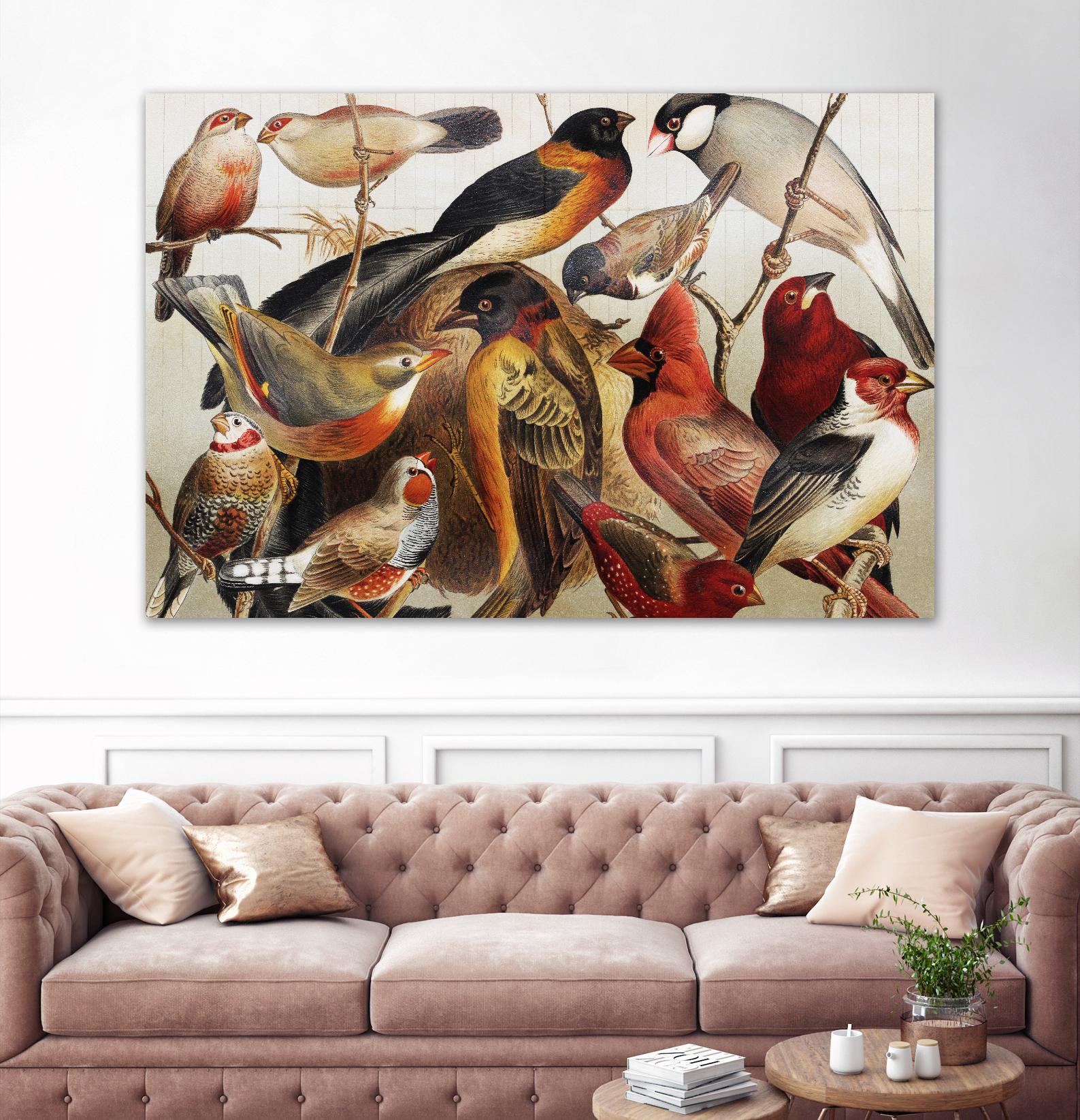 Collection II by PhotoINC Studio on GIANT ART - multicolor animals