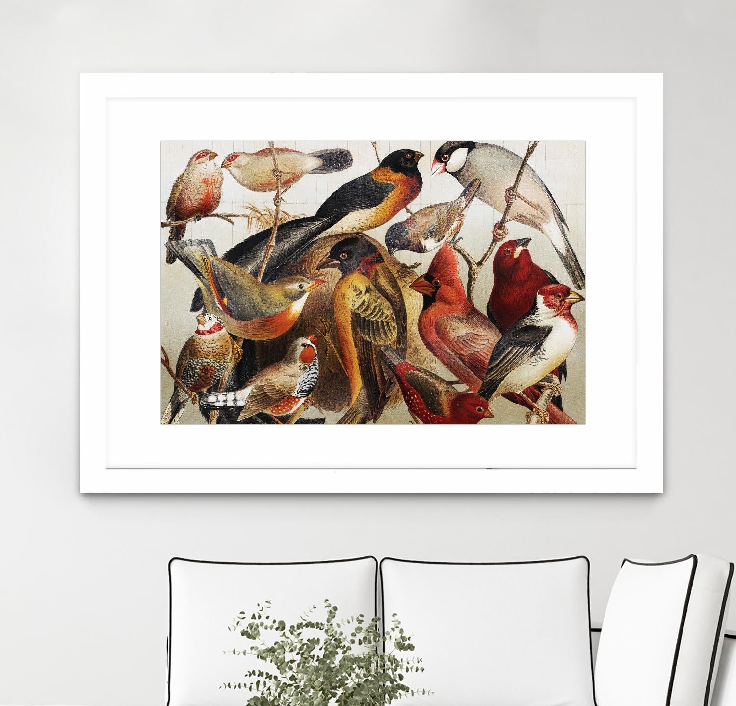 Collection II by PhotoINC Studio on GIANT ART - multicolor animals