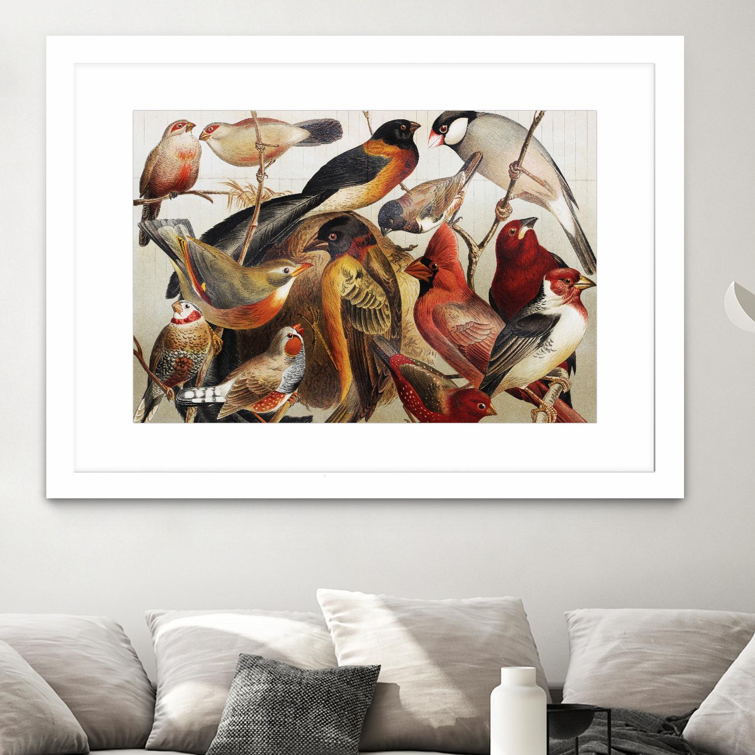 Collection II by PhotoINC Studio on GIANT ART - multicolor animals