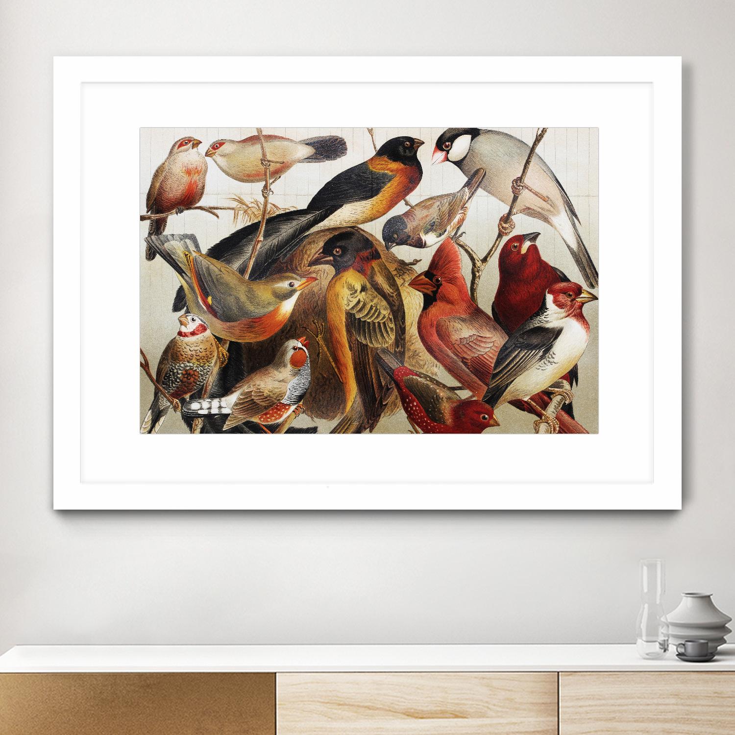 Collection II by PhotoINC Studio on GIANT ART - multicolor animals